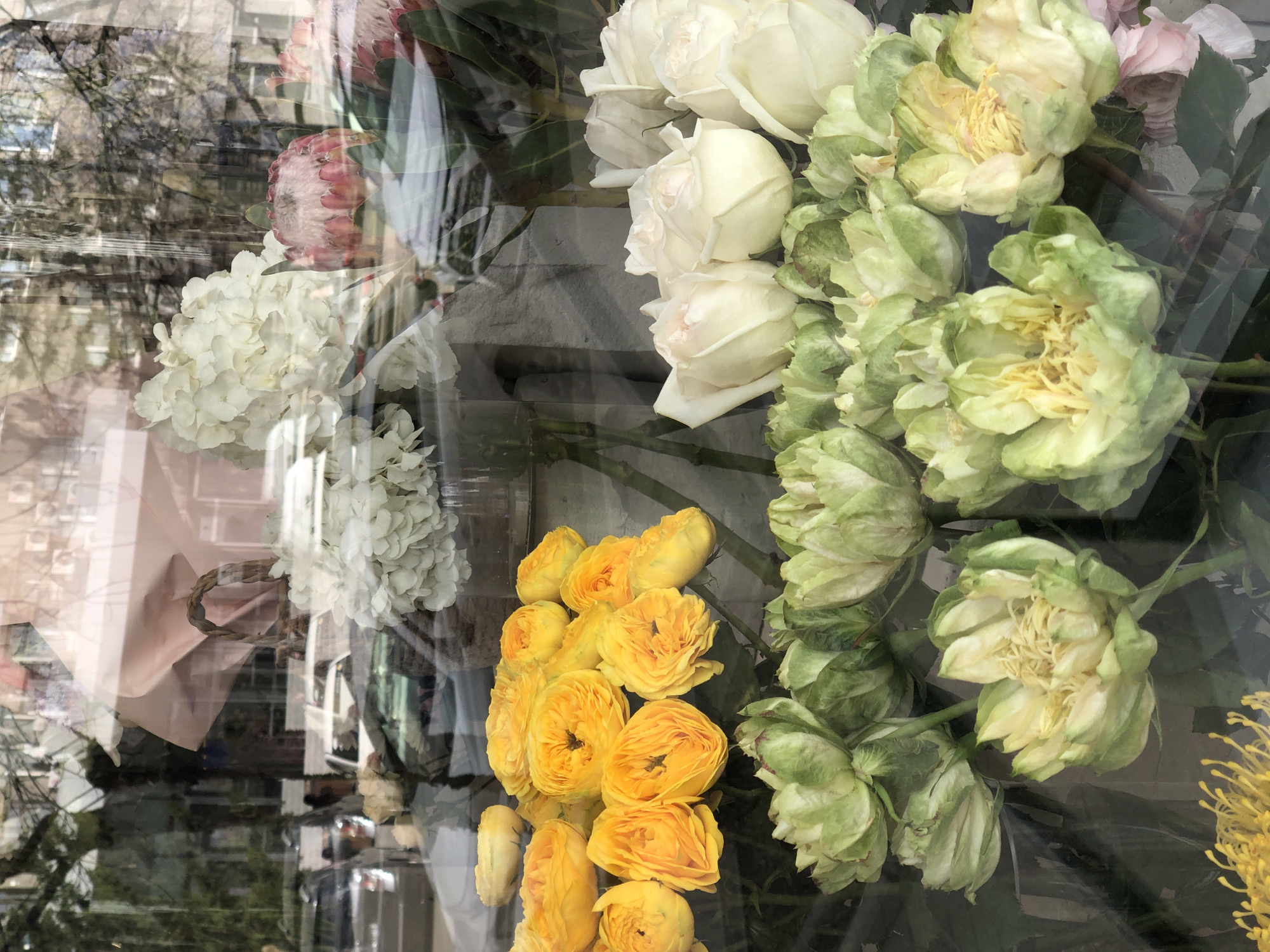 This image captures a vibrant display of various flowers seen through a glass shop window, characterized by prominent reflections from the outdoor environment. The flowers are arranged vertically within the frame, showcasing a rich palette of colors and forms.
In the upper left, a large, striking pink flower, possibly a protea, is visible, with clusters of white hydrangea-like flowers positioned below it. Towards the center and upper right, several elegant white roses with partially open petals are displayed. Adjacent to these are unique greenish-yellow flowers with ruffled petals and bright yellow centers, resembling peonies or specialized ranunculus. Dominating the lower central part of the image is a profusion of bright yellow roses or ranunculus, adding a vivid splash of color. A small section of spiky yellow flowers can also be seen in the lower right.
The glass surface creates complex reflections, superimposing elements of the exterior world onto the flower display. These reflections show bare tree branches, suggesting an autumn or early spring season, along with architectural details like building facades and windows, indicating an urban setting. The overall lighting suggests it is daytime. No individuals are visible, and there is no discernible text within the image. The scene offers a view into a floral shop window, presenting an attractive arrangement of fresh blooms.