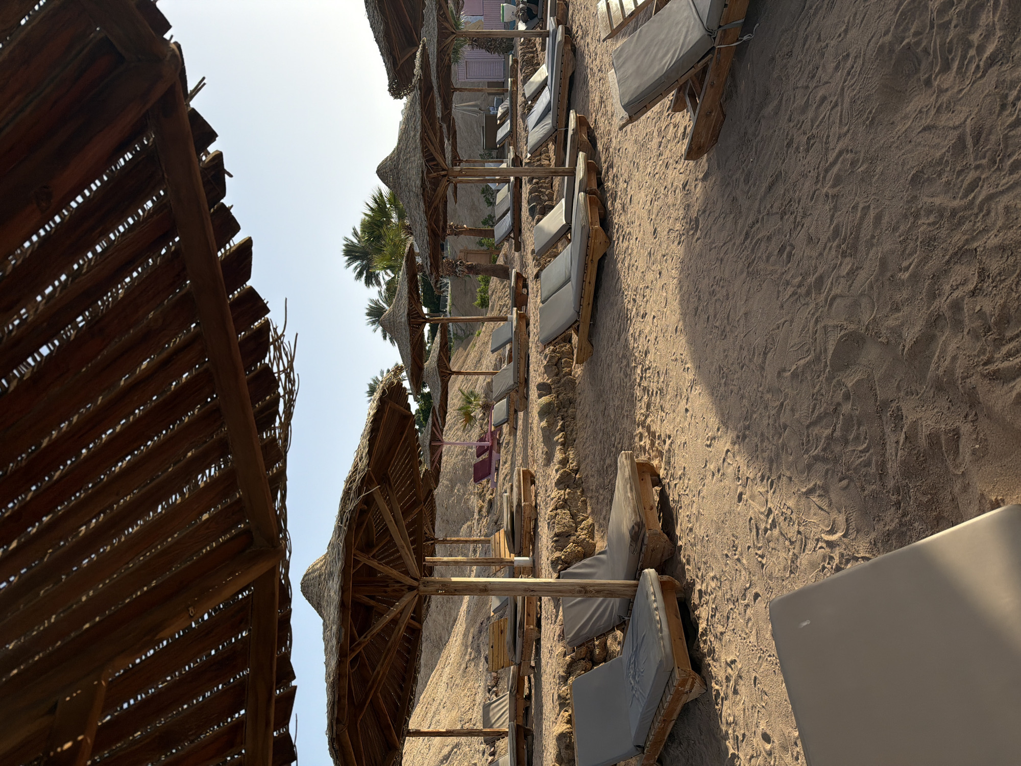 The image depicts a beach scene in Sharm El Sheikh, Egypt. The composition is dominated by rows of beach umbrellas made of straw or similar material, arranged in parallel lines along the sandy beach. Each umbrella is paired with beach chairs or loungers, some of which have cushions. The sand appears light brown in color and is marked with footprints. The sky is visible in the background, appearing clear and bright. In the distance, there are palm trees and a building structure. The overall setting evokes a sense of relaxation and vacation ambiance.