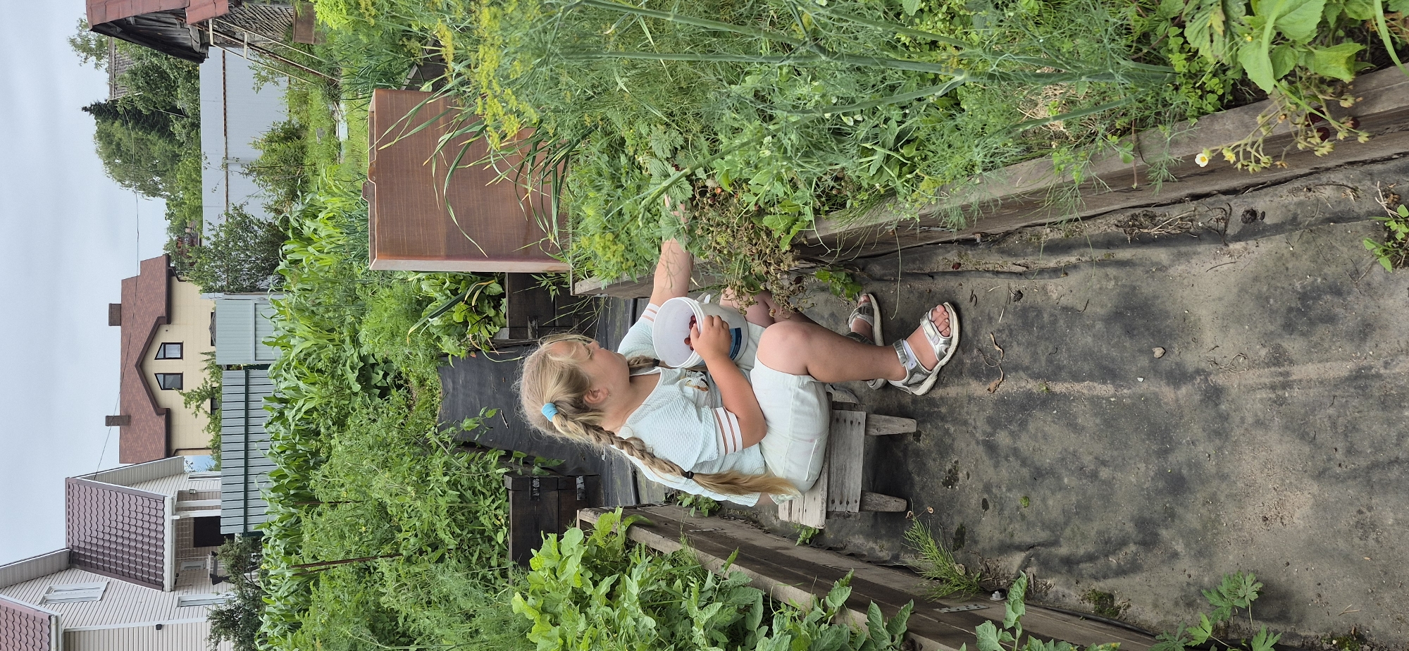 A blonde-haired young girl with two braids is sitting on a wooden stool in a garden, picking berries into a white bucket. She is wearing a light blue shirt and shorts, with silver sandals. The garden features raised wooden beds filled with various green plants and some red berries. In the background, there are houses and a fence. The sky is overcast.