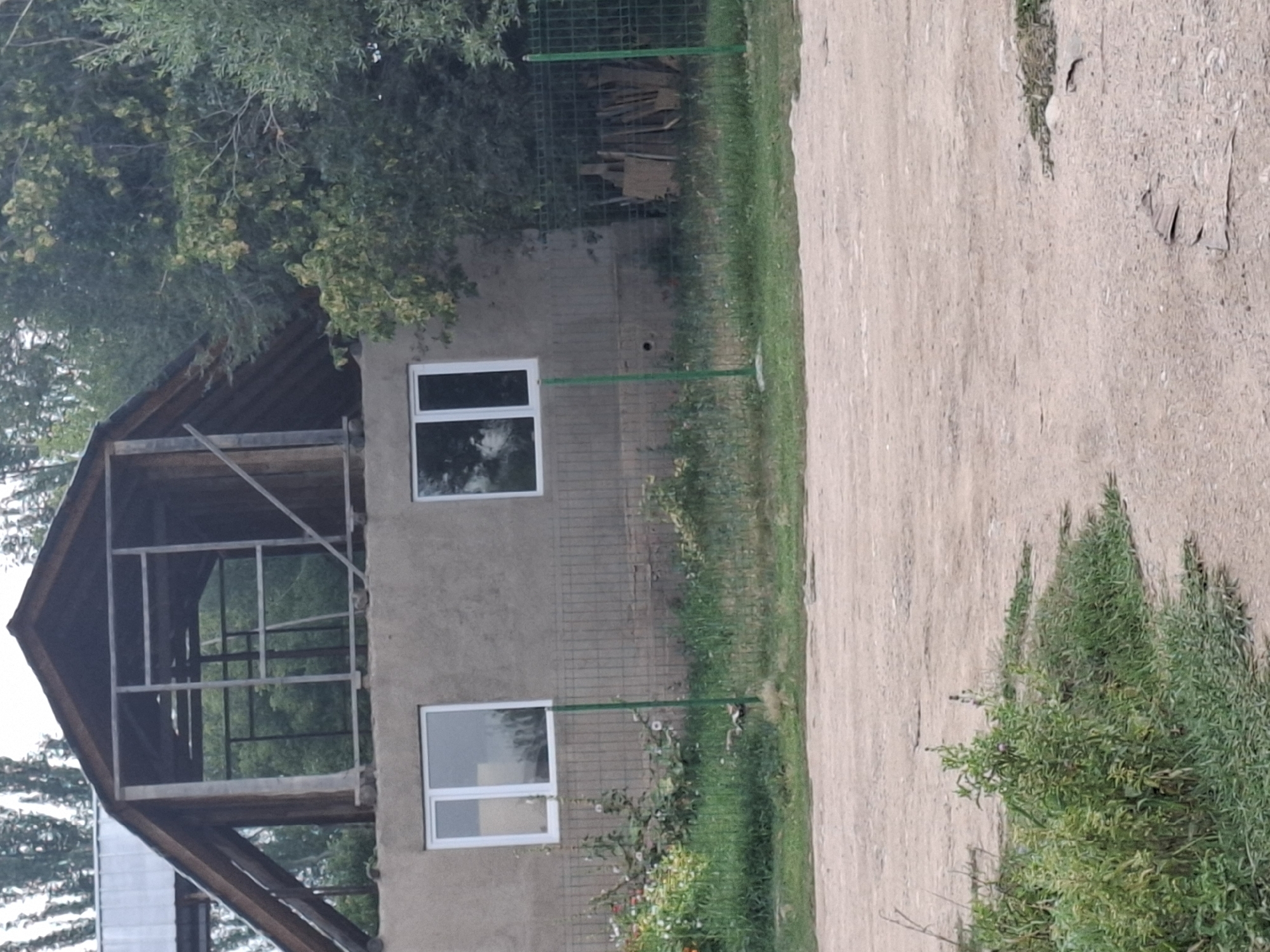 The image depicts an unfinished building in Jeti-Ögüz, Kyrgyzstan. The structure has a concrete lower level with two white-framed windows. Above this, the roofline is visible, revealing an unfinished upper story with wooden framing exposed. A green wire fence runs across the foreground, separating the building from a dirt road. Green vegetation and some wildflowers grow along the fence. To the right, within the fenced area, a pile of wood is stacked against the building. The background consists of trees. There are no people visible in the image.