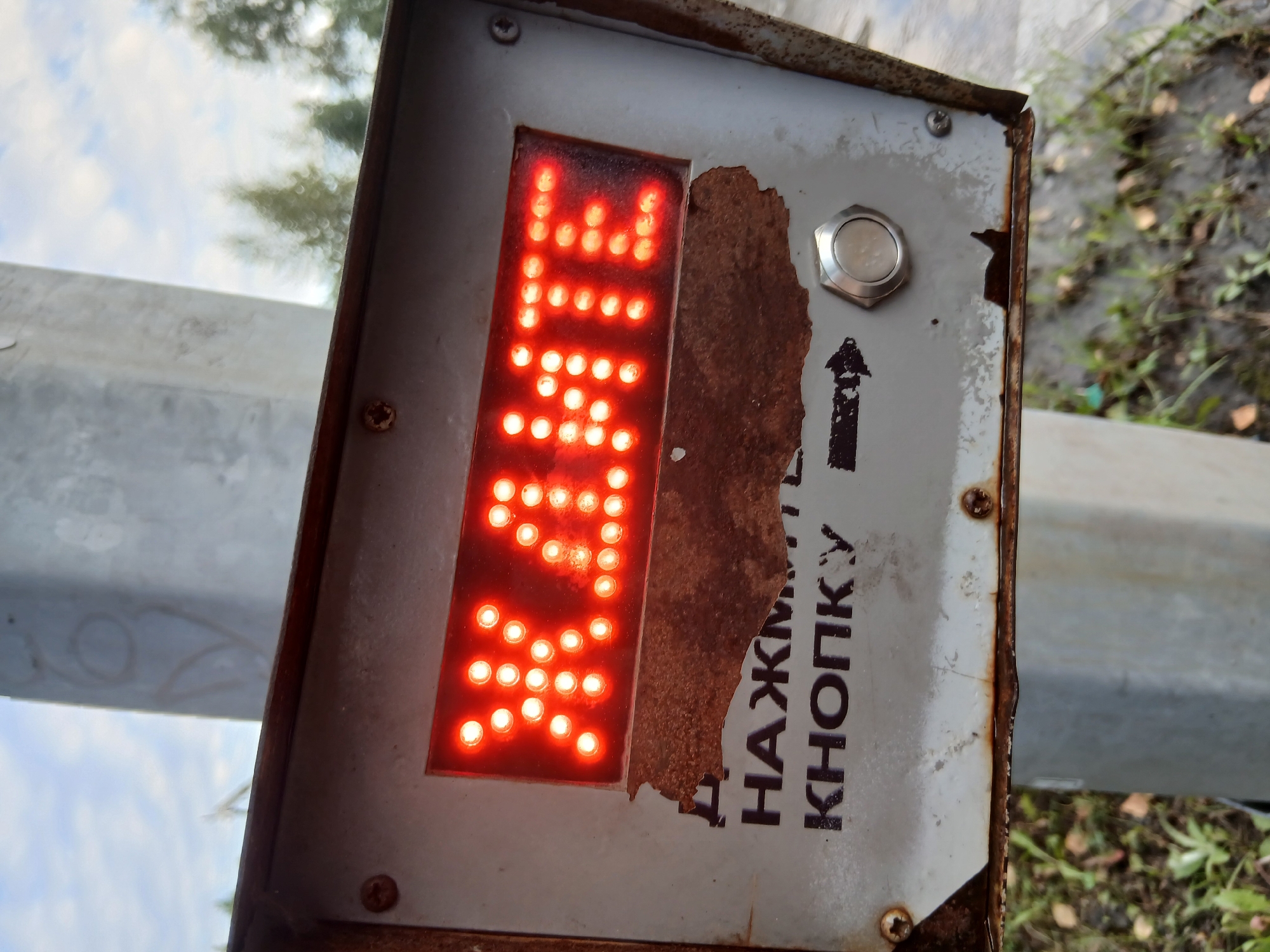 A close-up, eye-level shot captures a weathered pedestrian crossing signal box. The box is made of metal and shows signs of rust and peeling paint, particularly around the edges and a torn sticker below the display. The display itself is a red LED matrix showing the Russian word "ЖДИТЕ" (wait). Below the display, a partial sticker with Russian text reads "НАЖМ" followed by "КНОПКУ" (press the button), with a black arrow pointing to a silver, circular push-button. The background is blurred but suggests an outdoor environment with a cloudy sky, trees, and grass. The signal is mounted on a gray pole.