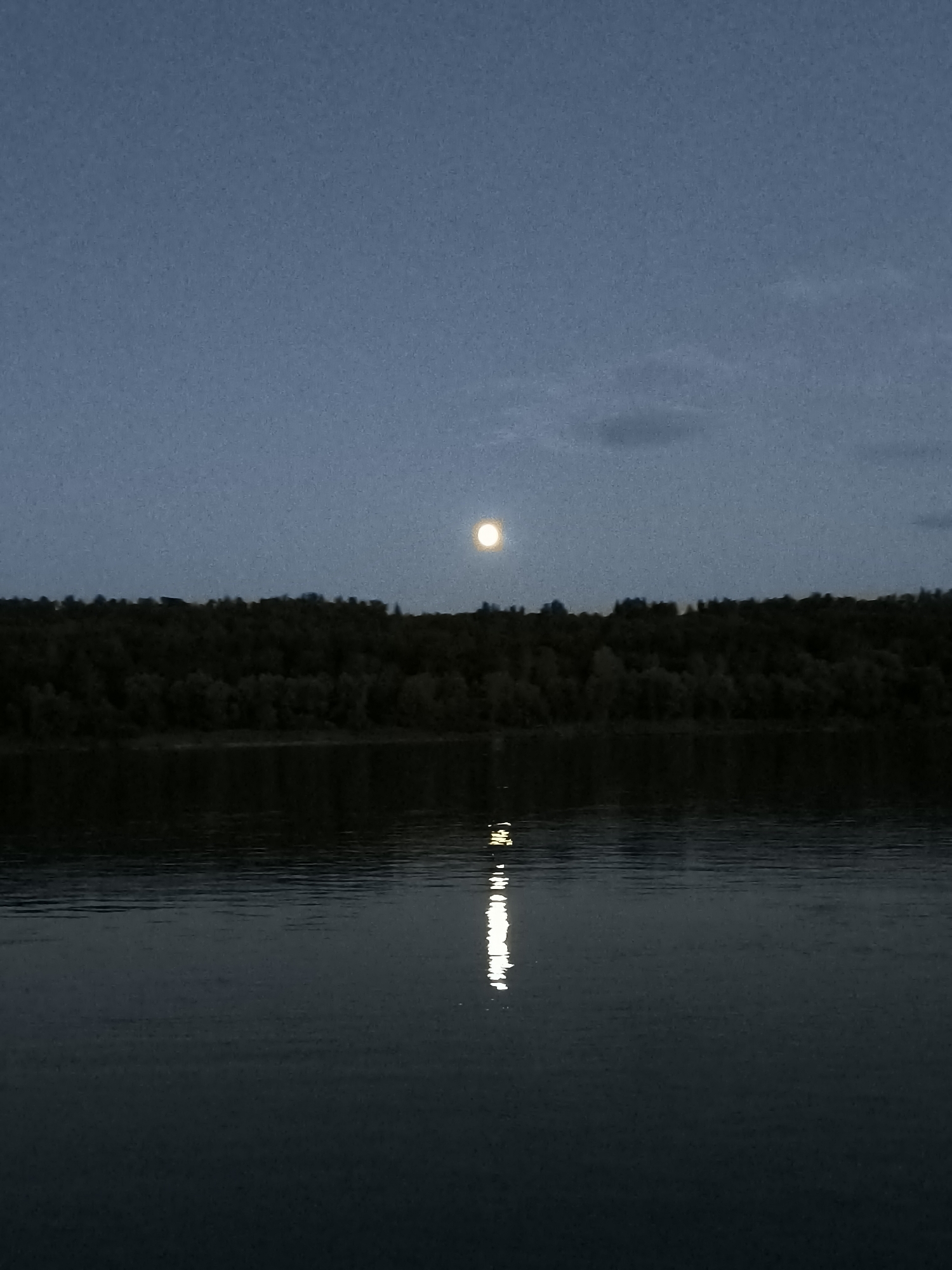 The image captures a tranquil twilight scene in Zagotzerno, Russia. A full moon hangs suspended in a dusky blue sky, its light casting a shimmering reflection on the dark, rippling surface of a wide river. The riverbank is densely lined with a dark forest, its silhouette creating a stark contrast against the horizon. The overall impression is one of serene natural beauty, undisturbed by human presence.
