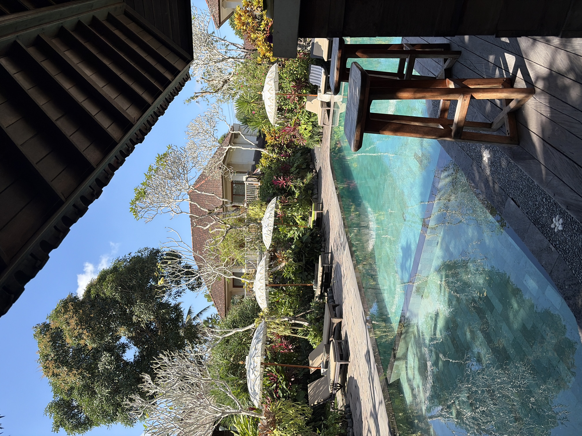 An outdoor swimming pool is shown in the foreground, reflecting the surrounding tropical foliage and buildings. The water is clear and turquoise, with a dark tiled bottom. Lounging chairs and umbrellas are visible along the edge of the pool. In the background, there are buildings with terracotta roofs and lush green trees. The image appears to be taken on a sunny day, casting shadows from the overhead structure. The scene suggests a resort or hotel setting in a tropical location, likely Ubud District, Indonesia, known for its scenic pools and vegetation. There are no people visible in the image.
