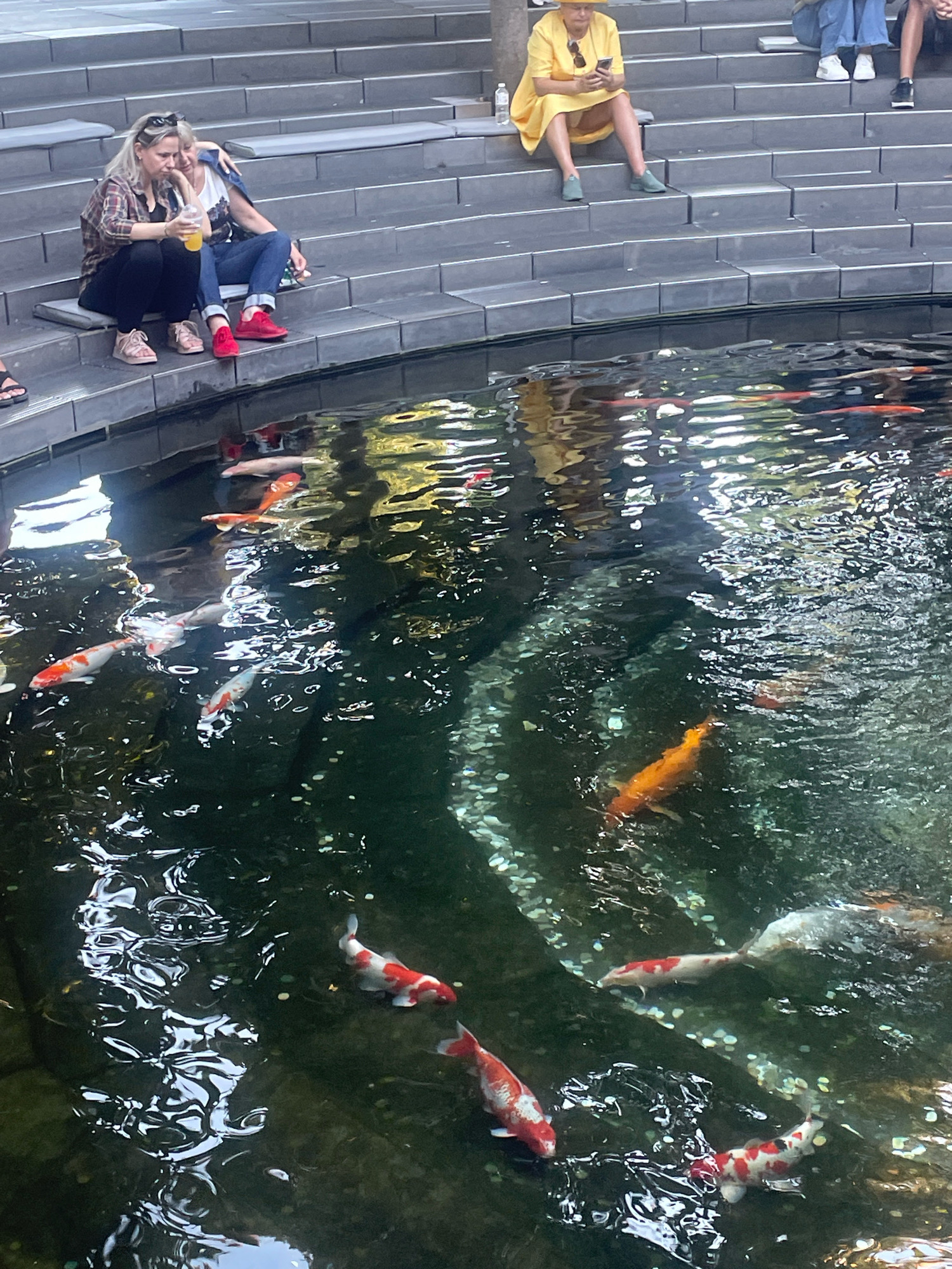 The image depicts an outdoor scene with a koi pond in the foreground and tiered seating in the background. Several koi fish, characterized by their orange, white, and black markings, are visible swimming in the dark water of the pond. Coins are scattered on the bottom of the pond. In the background, several people are seated on the grey, tiered steps. Two women are sitting close together, one with her arm around the other, and one is holding a drink. Another person in a yellow dress is seated further up the steps, looking at their phone. The overall environment appears to be a public space, possibly a park or plaza. The location in the city of Krasnodar, Russia is not indicated by any visual elements in the provided image.