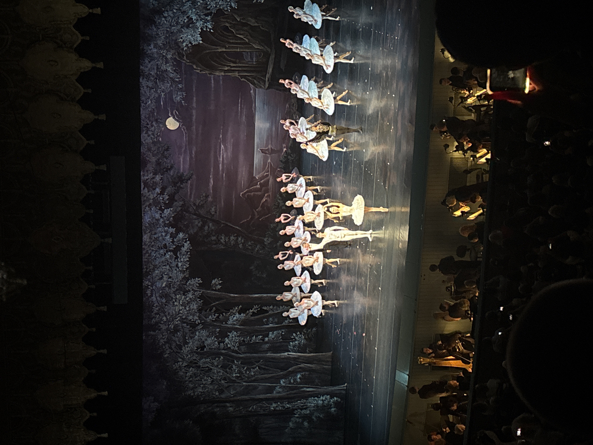 A ballet performance is underway on a stage in a theater. Numerous dancers, predominantly female, are dressed in white tutus and ballet slippers, executing various poses and movements. A male dancer in a black costume stands at the center of the stage, facing the audience. The backdrop depicts a moonlit forest scene with silhouetted trees and a body of water. In the foreground, the audience is visible, with some individuals holding up their phones to capture the performance. Musicians playing various instruments, including a harp, are seated in an orchestra pit in front of the stage. The overall atmosphere suggests a formal cultural event. The scene is likely taking place at the Mariinsky Theatre in Saint Petersburg, Russia, a renowned venue for ballet and opera.