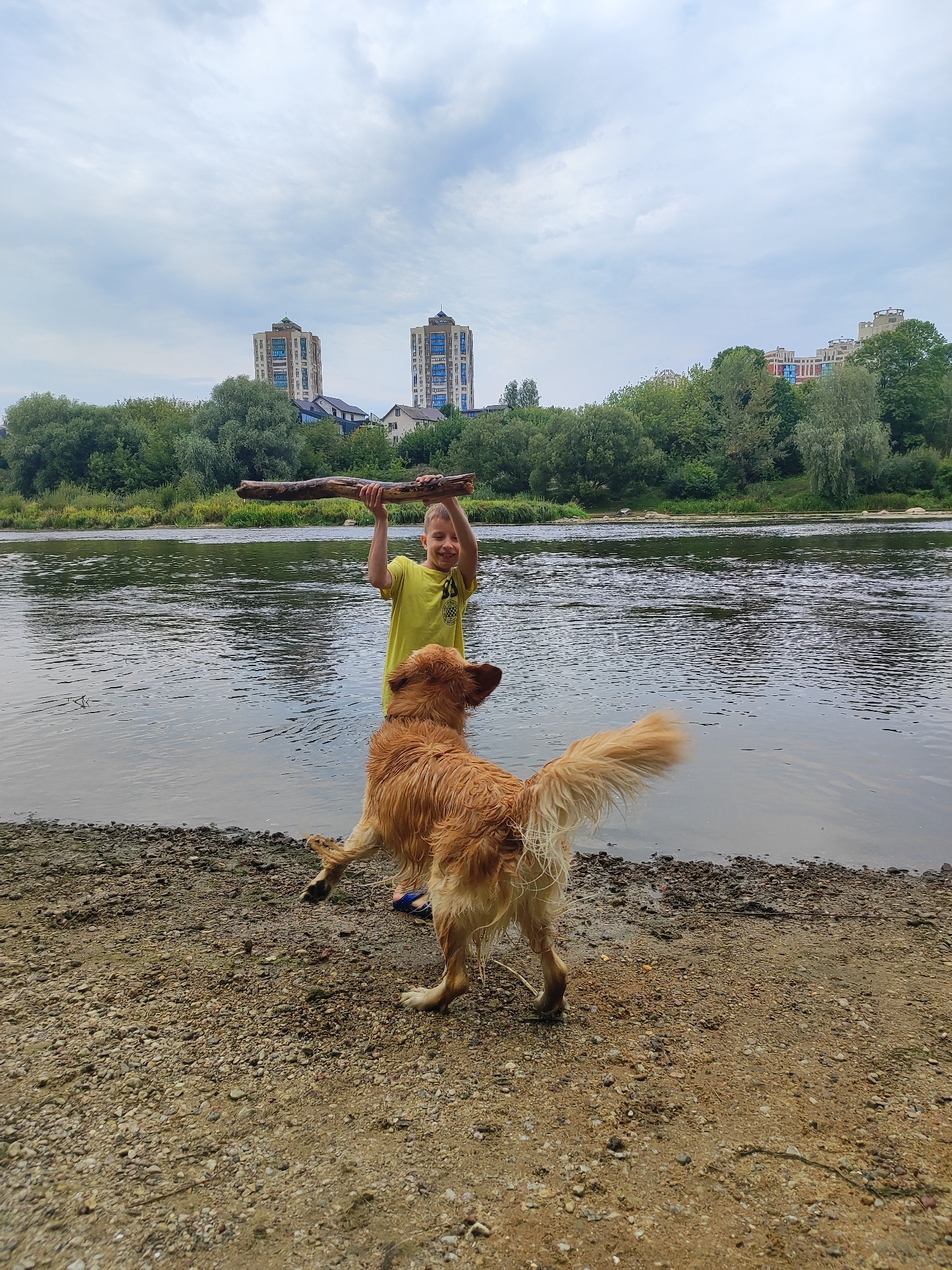 A young boy wearing a yellow t-shirt stands in shallow water at the edge of a river in Hrodna, Belarus. He is holding a long stick above his head. A golden retriever dog, facing away from the camera, stands on the gravelly riverbank, looking towards the boy. The river is calm, with gentle ripples on its surface. In the background, a dense line of green trees borders the river. Beyond the trees, two tall, modern residential buildings with blue-tinted windows rise against a cloudy sky. The overall scene depicts a recreational moment by the river in an urban or suburban setting.