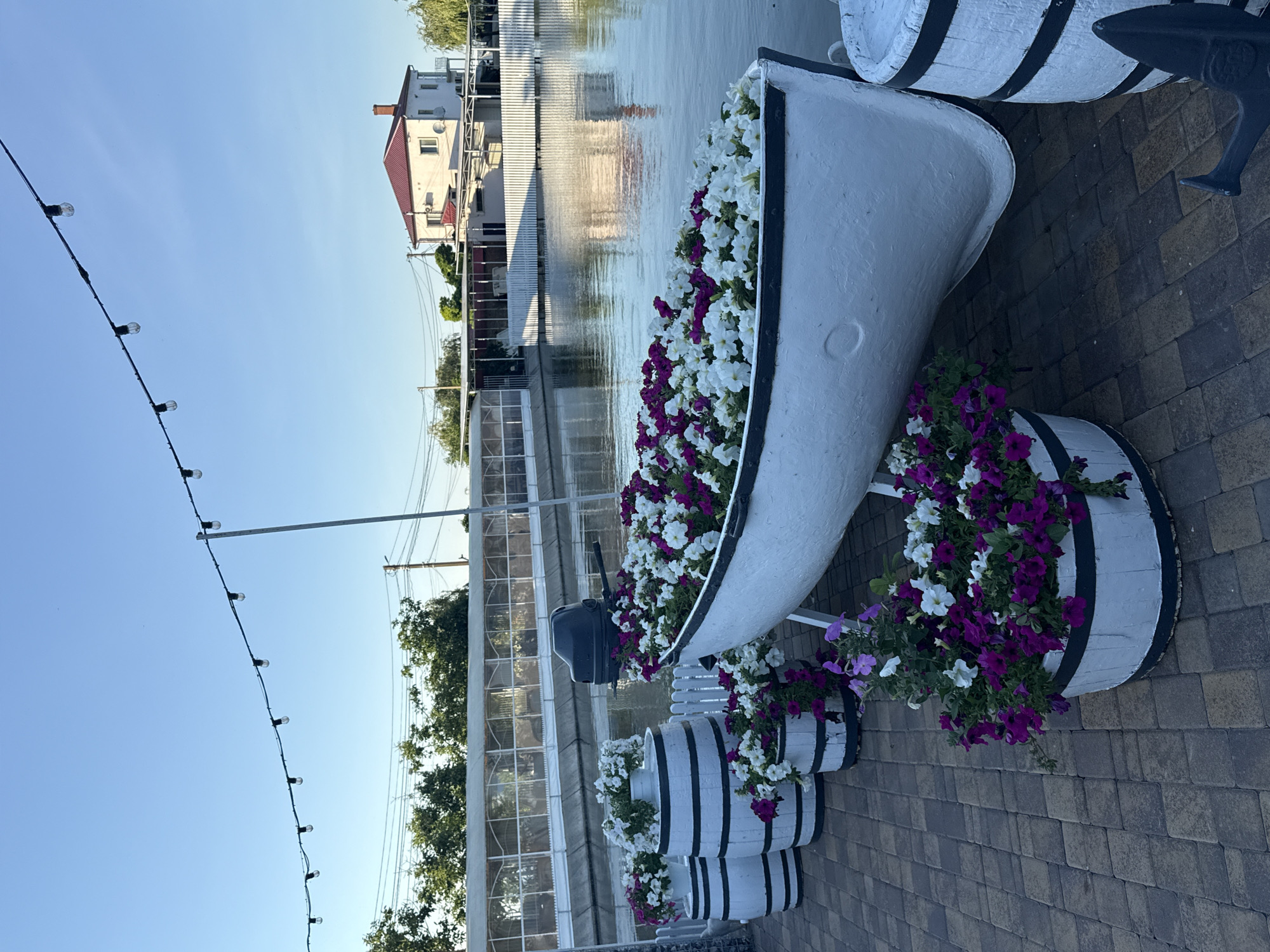 The image depicts an outdoor scene with decorative elements. The main subjects are several repurposed white barrels and a white canoe, all filled with vibrant purple and white petunias. These floral arrangements are placed on a paved area made of stone tiles. In the background, a body of water reflects the sky and buildings. A white building with a red-tiled roof and several windows is visible across the water, along with some trees and a greenhouse-like structure. A string of decorative light bulbs hangs from a pole on the left side of the frame, suggesting it might be an outdoor seating area or walkway. The lighting suggests it is daytime, likely late afternoon or early evening, as the sun casts a gentle glow. There is no visible text in the image. The scene appears to be tranquil and aesthetically pleasing, designed to be inviting.