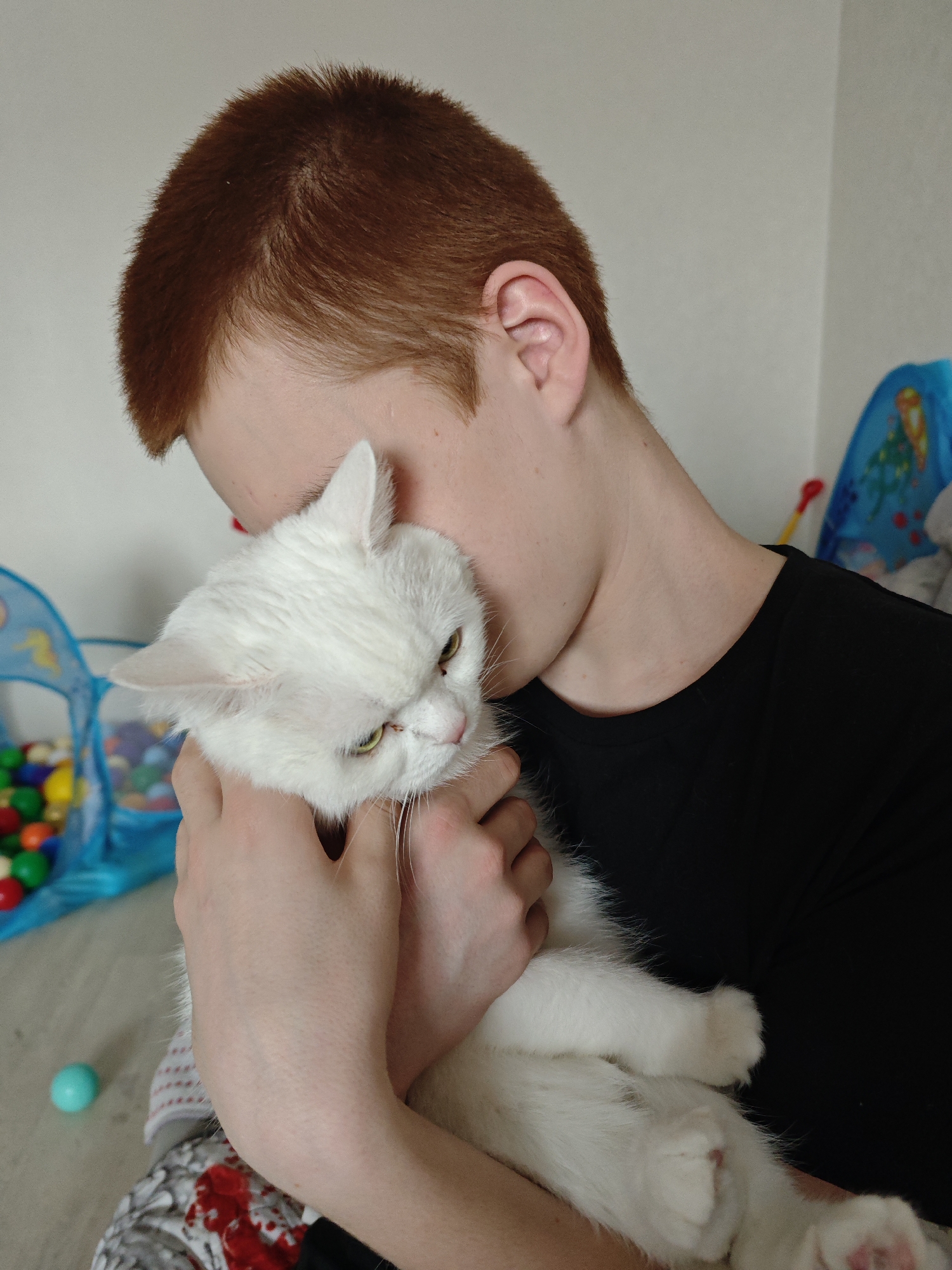 A fair-skinned person with short red hair, wearing a black t-shirt, is holding a white cat. The cat is resting in the person's arms, its face close to the person's neck. In the background, there is a play tent filled with colorful balls, and a wall. The image appears to be taken indoors. While there may be evidence that could connect the image to Markovskii, Russia, it is only indirect.