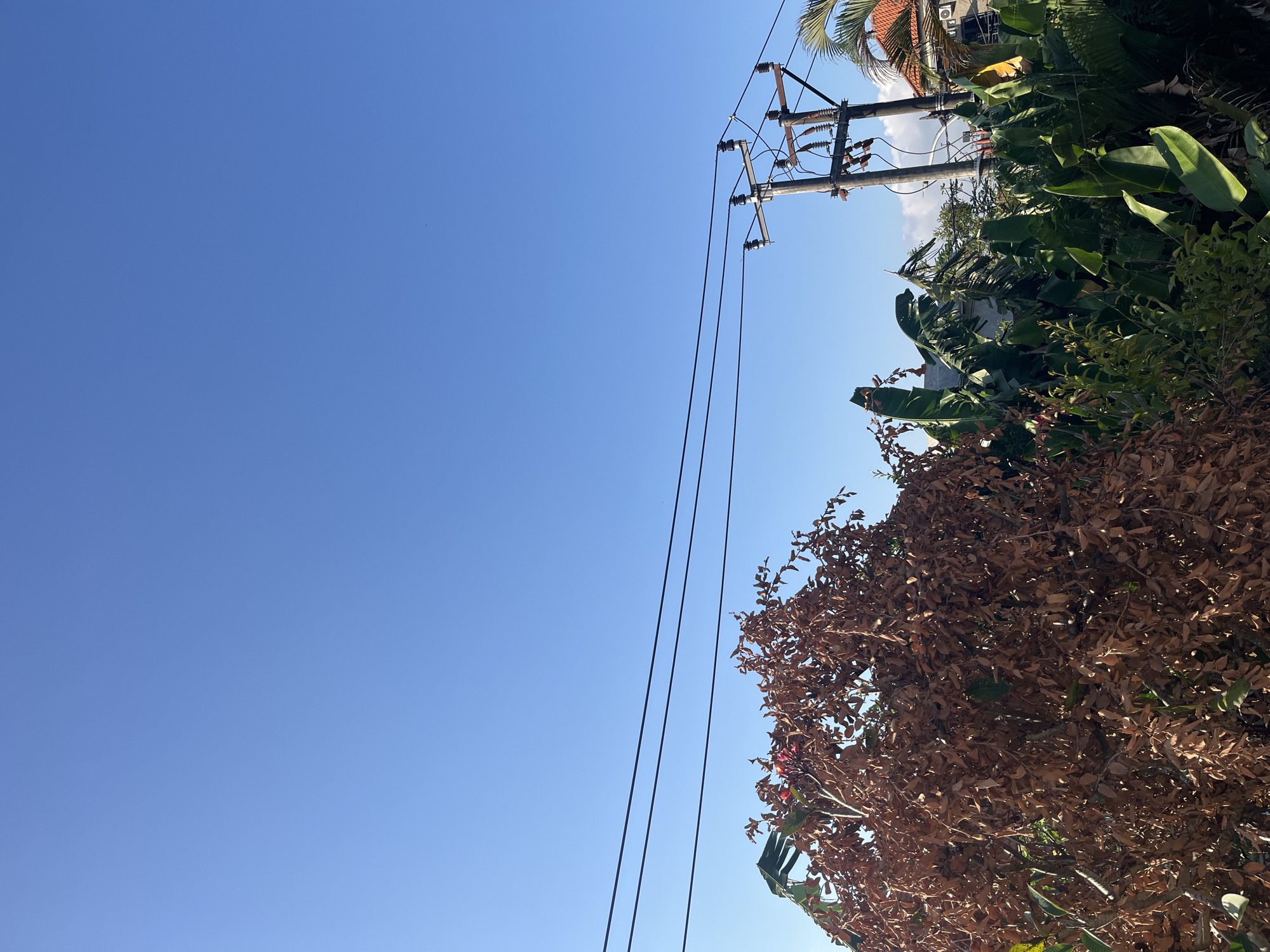 The image shows a clear blue sky above a line of trees and power lines. In the foreground, a tree with brown, dried leaves is partially visible. Behind it, lush green foliage, including banana leaves, obscures a building and a utility pole. The building, with its orange-tiled roof, is partially visible on the right side of the frame. The utility pole has several insulators and wires running across the sky. The scene suggests a residential area in North Kuta, Indonesia, likely during daylight hours.