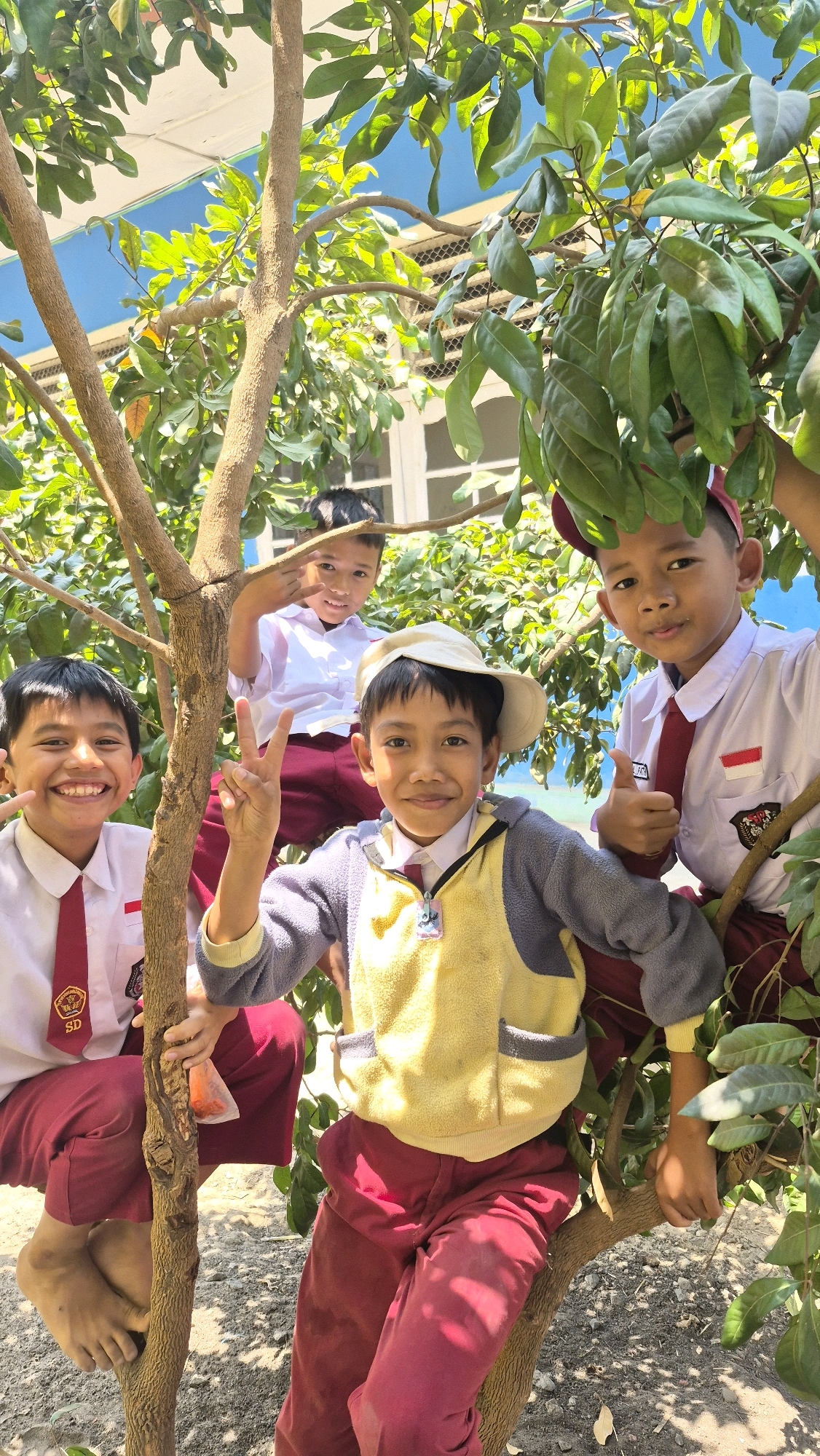 Four young boys, likely students given their school uniforms of white shirts and maroon pants, are perched on the branches of a tree. The boy in the foreground wears a cream-colored hat and a yellow and gray sweater over his uniform shirt. He is making a peace sign with his fingers. To his left, another boy in uniform flashes a wide smile and also makes a peace sign. Behind them, two other boys in similar uniforms are visible amongst the leaves. The boy on the right gives a thumbs-up gesture. The background reveals a blue building with windows. The ground is covered in dirt and scattered leaves, indicating an outdoor setting in Putak, Indonesia. The lighting suggests it is a sunny day.