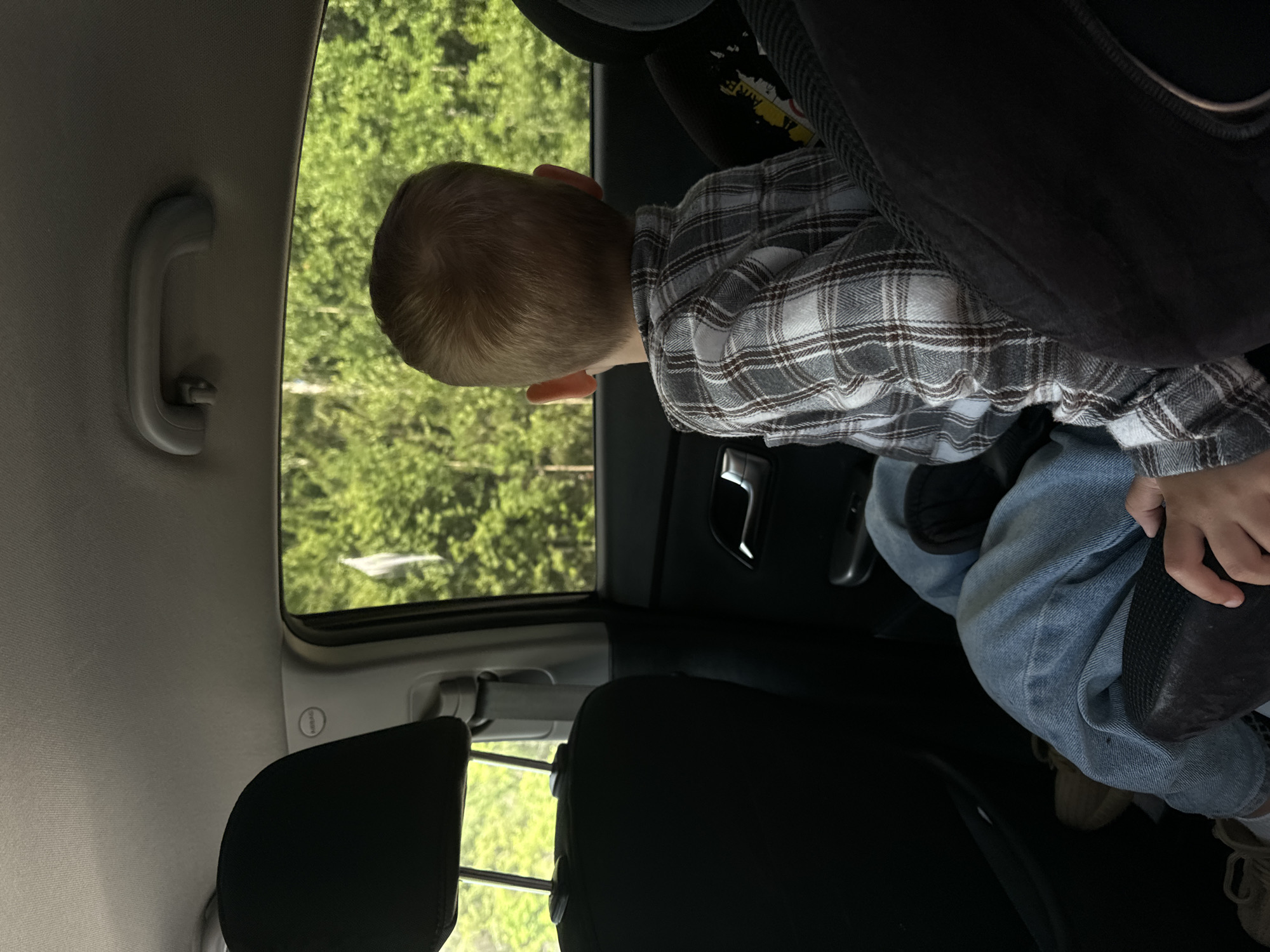 The image depicts the interior of a car, viewed from the back seat. A young child with blond hair, wearing a grey and white plaid shirt and blue jeans, is seated in a car seat and looking out the window. The window reveals a backdrop of lush green trees, suggesting a rural or natural environment. The car's interior shows a black headrest and a portion of the car door with a silver handle. The lighting suggests daytime. The child's hands are visible resting on their lap. The scene is consistent with a child traveling in a car through a wooded area, possibly on the outskirts of Поназырево, Russia, given the context.