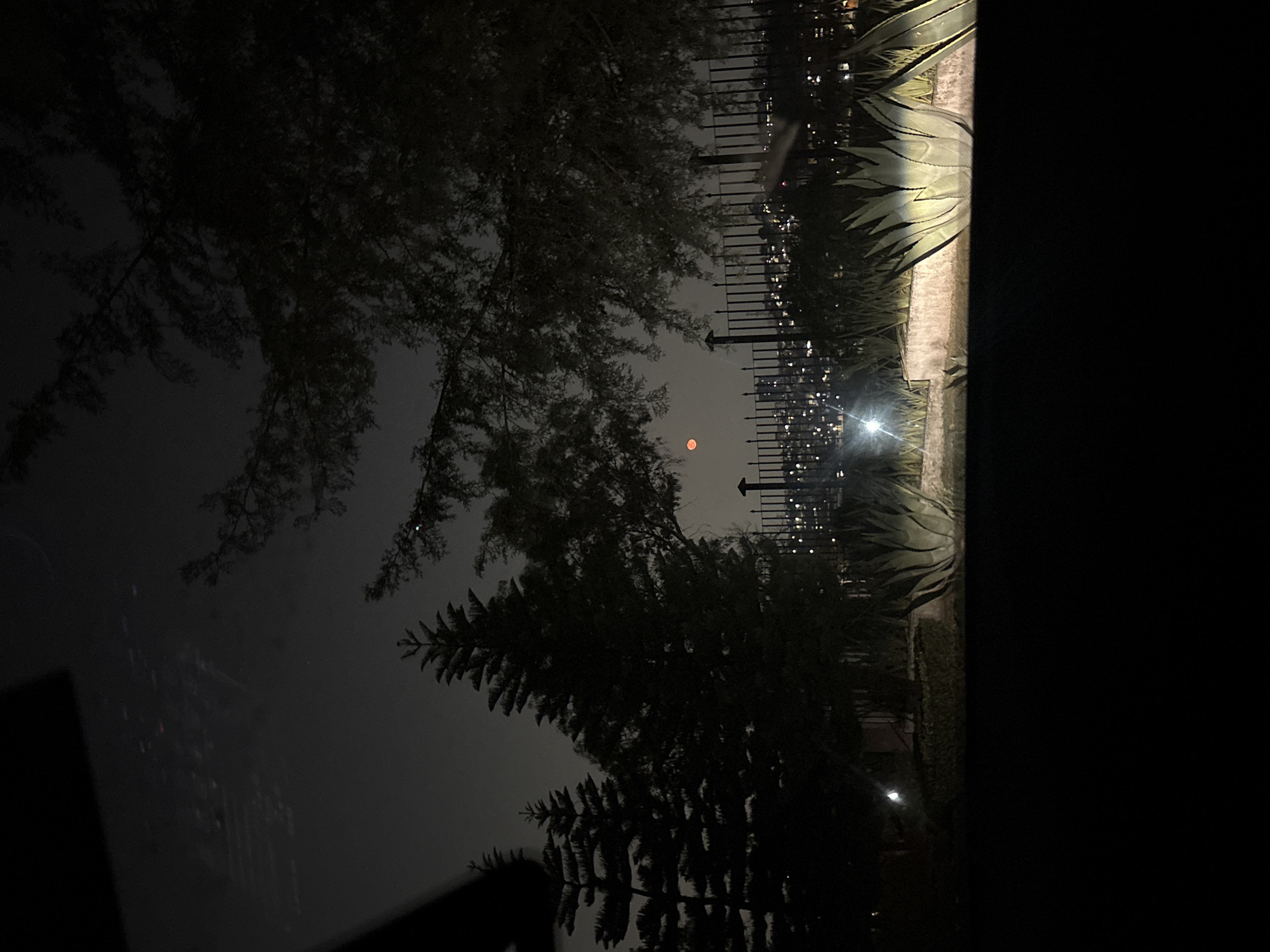 The image shows a nighttime scene in what appears to be a residential area of Huixquilucan de Degollado, Mexico. The foreground is dominated by silhouetted trees and a fence. Behind the fence, lights suggest a cityscape with a full moon visible between the trees. On the right side of the image are large agave plants along a concrete wall or ledge. The left side of the image is dark, obscuring details. The overall impression is a night view from a slightly elevated position, with vegetation framing the urban landscape beyond.