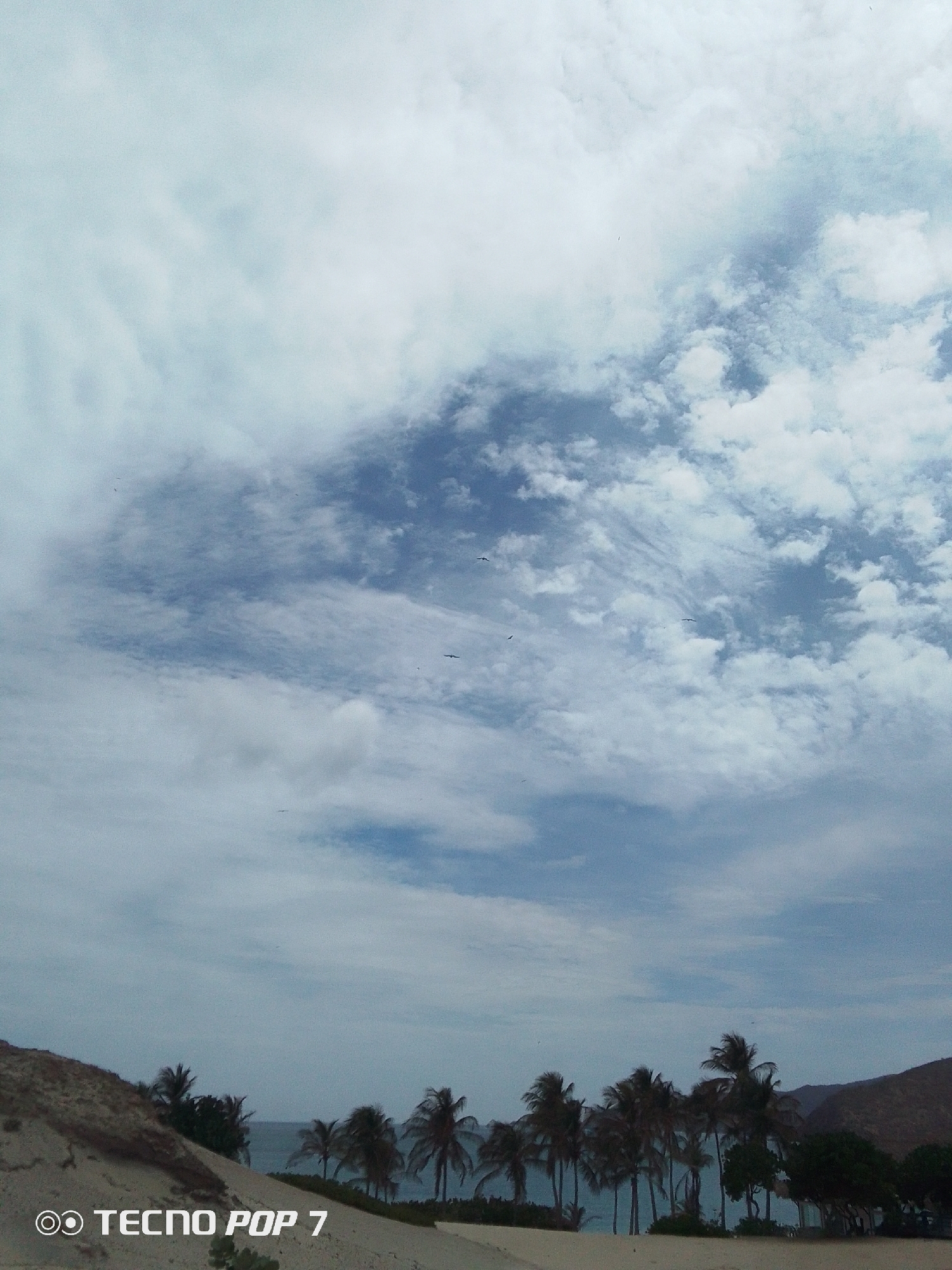 The image depicts a coastal landscape in Pedro González, Venezuela. A prominent feature is the sky, filled with a mix of white and blue clouds, some wispy and others more dense. Below the sky is a sandy area, with sparse vegetation, including palm trees of varying sizes. A slight hill or dune is present on the left side of the frame. In the background, a body of water (possibly the sea) is visible, with a landmass or hill on the right side. There are also some birds flying in the sky. The camera used was likely a TECNO POP 7.
