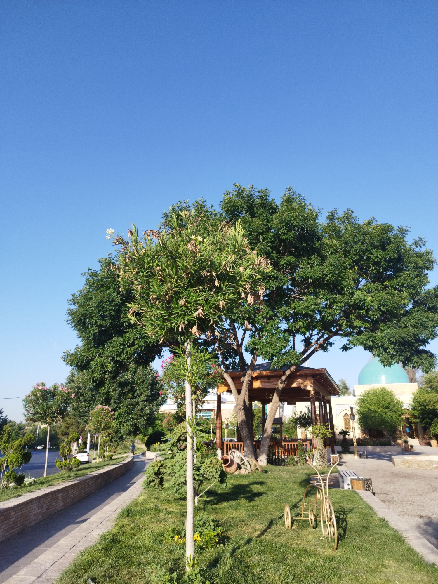 A medium shot captures a serene urban park scene under a clear blue sky. A large, lush green tree dominates the center of the frame, its branches providing shade to a wooden gazebo situated beneath it. To the right of the gazebo, a distinctive light blue dome building is visible amongst other structures and greenery. In the foreground, a paved walkway lined with a low brick wall separates a grassy area from the street. A decorative golden tricycle sits on the lawn to the right, adding a whimsical touch to the landscape. A single figure is seen walking along the paved path in the distance, adding a sense of scale and life to the scene. The overall atmosphere is peaceful and inviting, suggesting a pleasant day in a well-maintained public space.