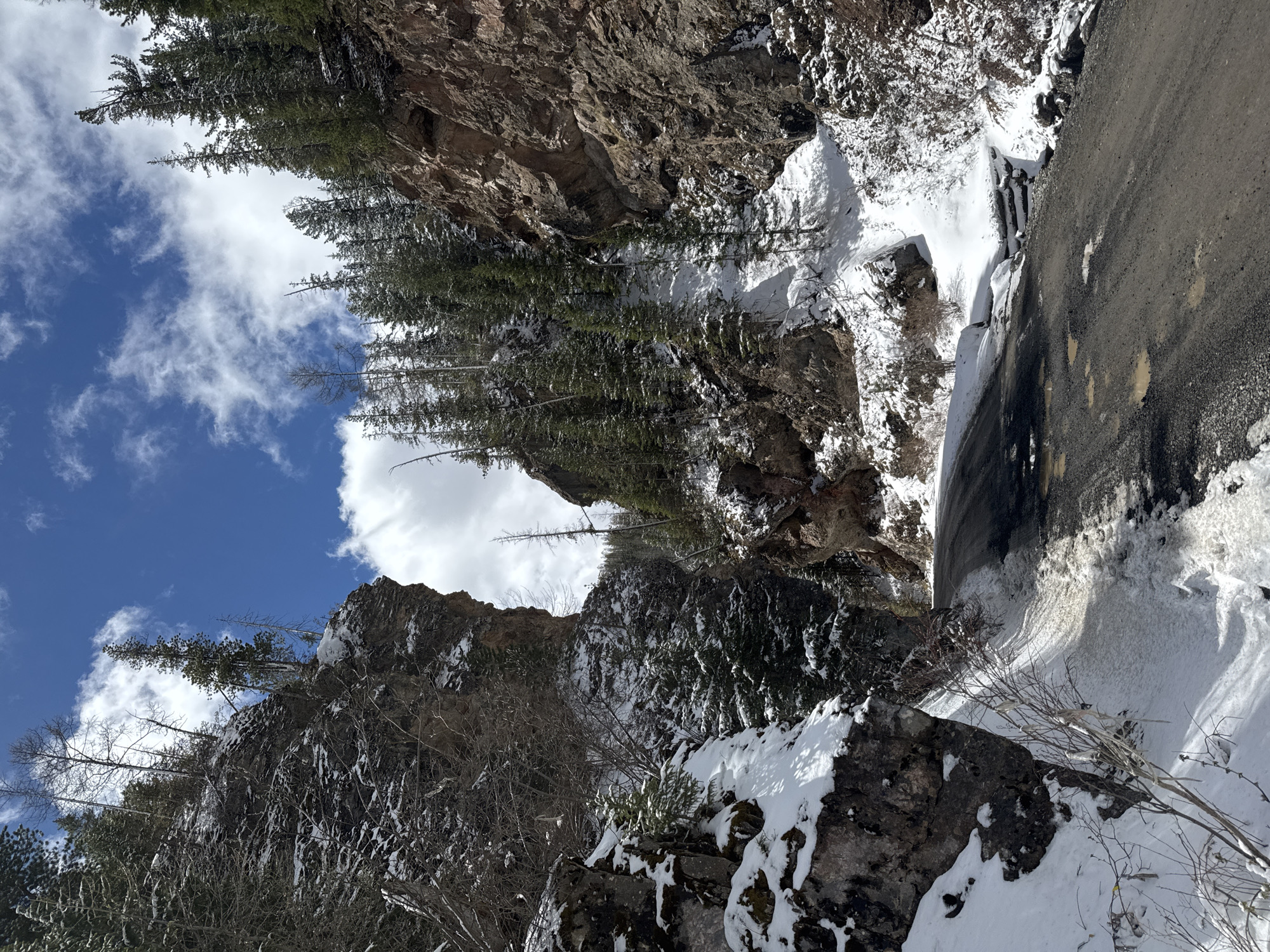 The image depicts a wintery scene in a mountainous region, possibly near Aktash, Russia, though specific location confirmation is impossible from the image alone. A paved road runs along the right side of the frame, showing signs of wear and patches of snow. A steep rock face rises on the left, partially covered in snow and vegetation. Trees grow along the cliff and some extend into the open blue sky with scattered clouds. The overall scene is indicative of a mountain pass or a road cut through a rocky landscape.