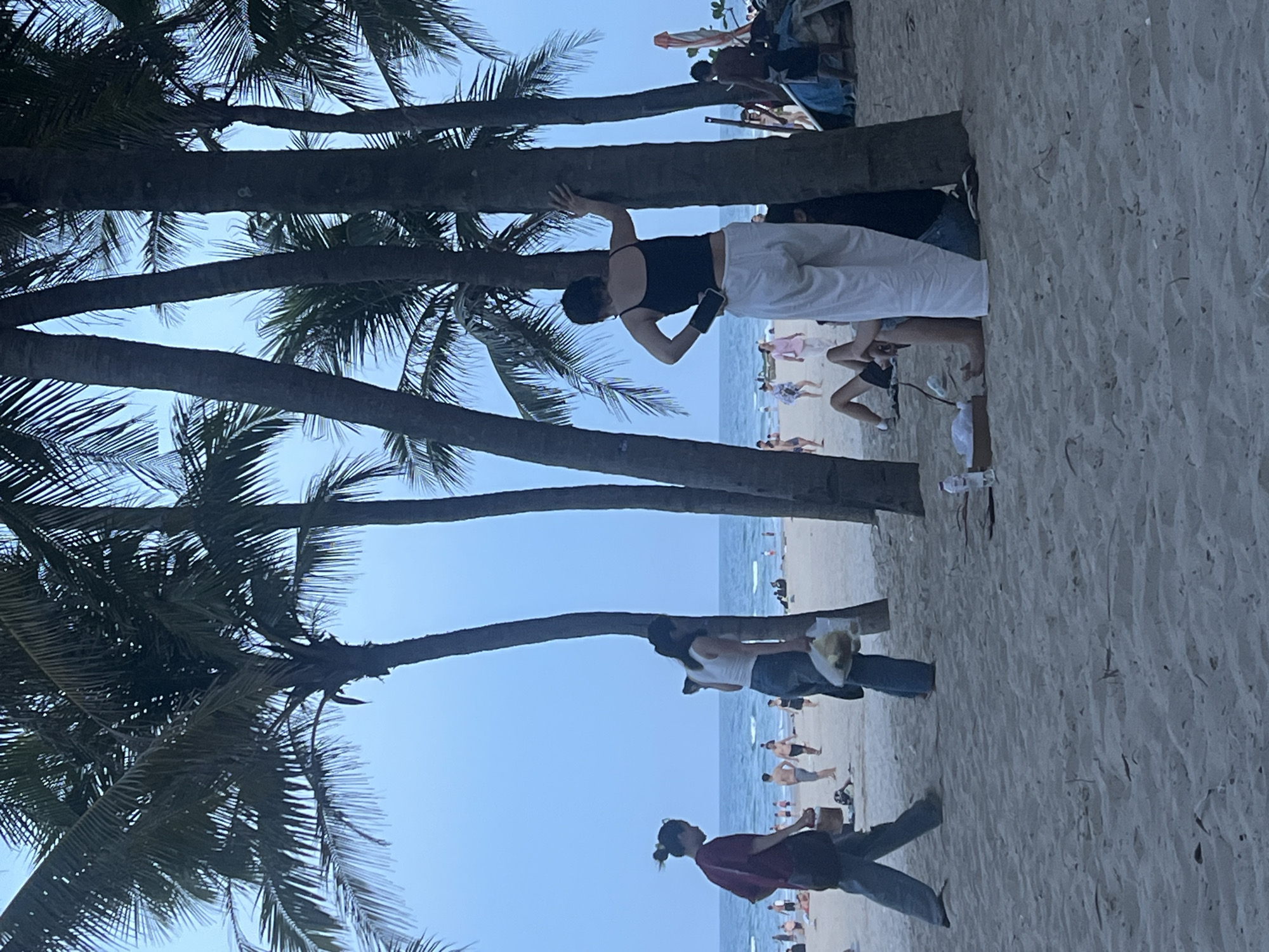 The image depicts a beach scene in Da Nang, Vietnam, likely during late afternoon or early evening given the soft light and calm sea. Several palm trees are prominent in the foreground, with their trunks creating vertical lines across the frame. The sand is light-colored and appears relatively clean, with some scattered debris.
In the middle ground, a group of people are visible on the beach and near the water. Some individuals are walking, while others are standing or sitting. The ocean is a deep blue with gentle waves.
In the foreground, two women are the primary subjects. The woman on the left is wearing a dark maroon top and dark pants, and is walking away from the camera, holding a basket. The woman on the right is wearing a black tank top and loose white pants, and is standing near a palm tree with her hand resting on it. She appears to be looking down. Another person is sitting on the sand near the woman in white pants, partially obscured by palm trees and the woman's legs. This person is wearing dark shorts and appears to be lounging.
In the background, more people are scattered along the beach. Some are wading in the water, while others are sunbathing or walking. A few beach umbrellas are visible in the far right. The sky is a clear, pale blue. The overall impression is a relaxed beach atmosphere.