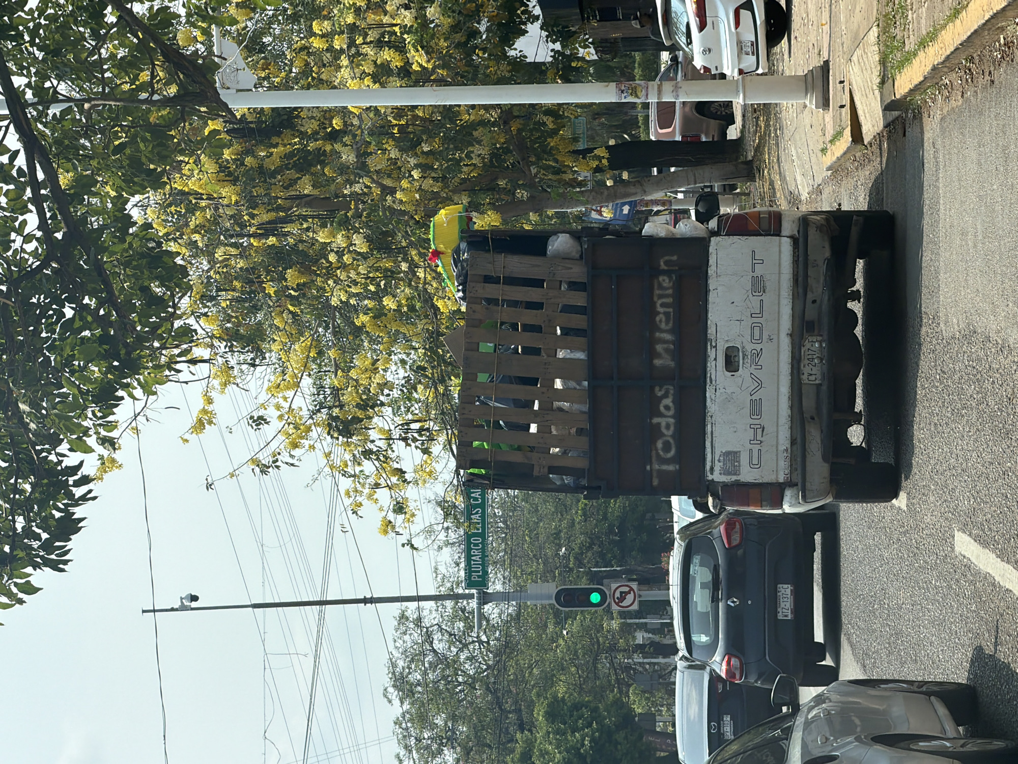 The image depicts a street scene in Villahermosa, Mexico, as indicated by the street sign "PLUTARCO ELIAS CAI". The scene appears to be a residential street with trees and power lines overhead. In the foreground, there are several vehicles lined up in traffic. A truck is prominently featured, loaded with an open wooden structure. The truck's tailgate displays the word "CHEVROLET". Additionally, the phrase "Todos Mienten" is visible on the side of the truck's wooden structure. A license plate is visible on the Renault car: NTZ-137-C. The traffic light shows a green light. There is a piñata on top of the truck.