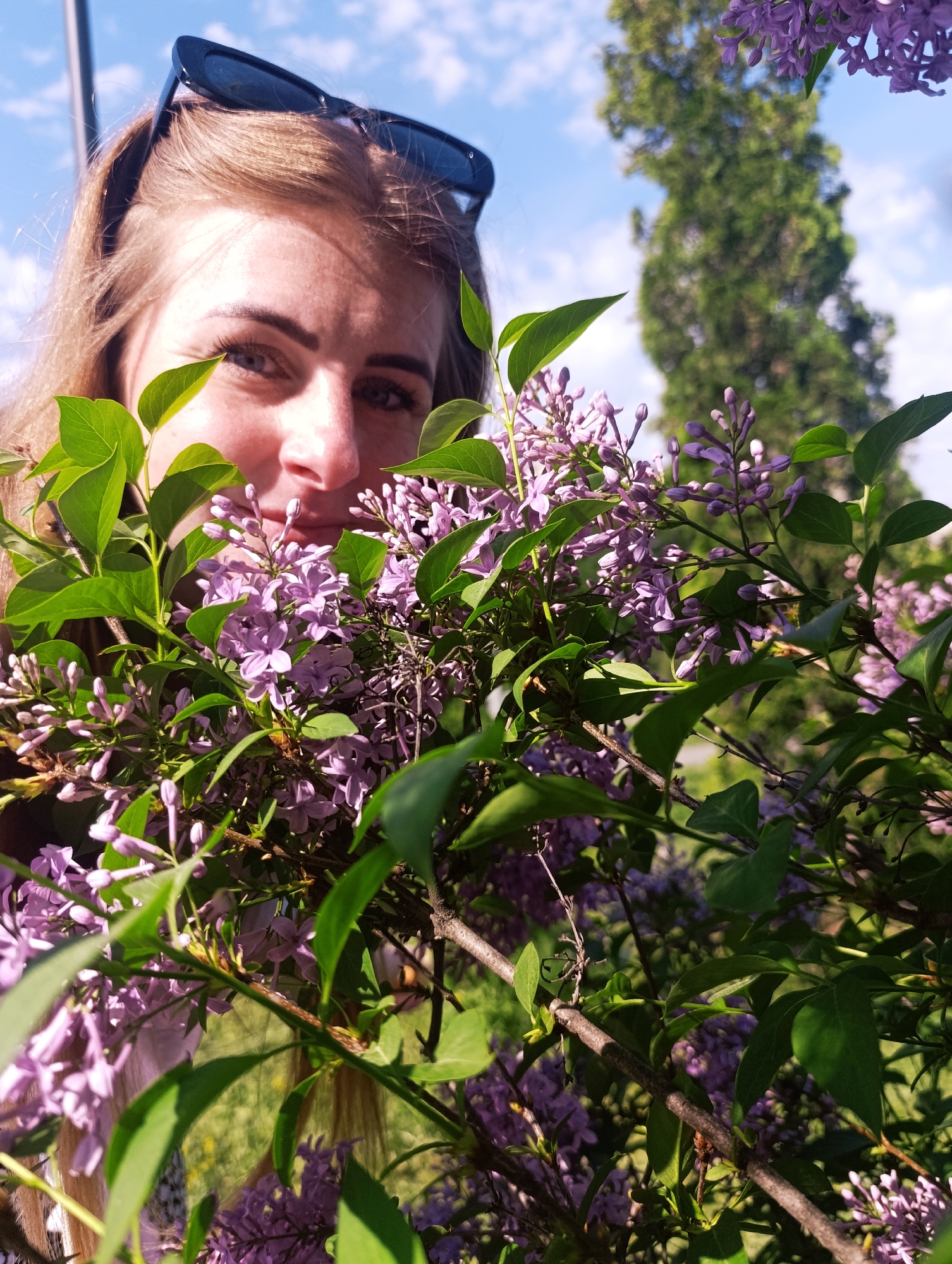 A medium shot shows a fair-skinned woman, partially obscured by a bush of purple lilac flowers, with her head and shoulders visible. She has long blonde hair, with sunglasses pushed up on her head. The woman is smiling with a slight squint in her eyes. The lilac flowers in the foreground are dense, with both open blooms and buds visible among green leaves. Behind the woman and the bush, there's a green tree and a blue sky with scattered white clouds. The location is an outdoor setting, likely a park or garden, in the city of Unknown, Unknown.