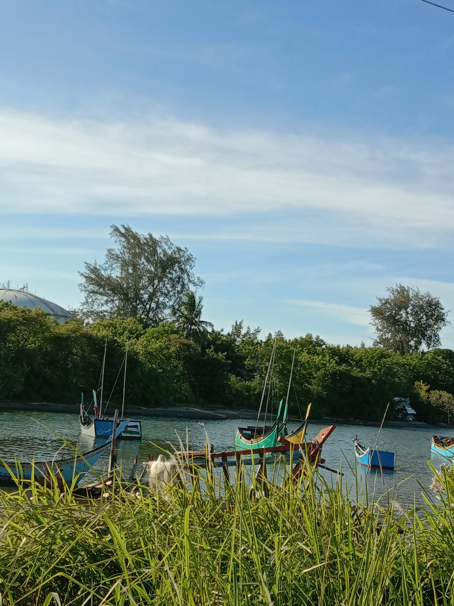 The image captures a harbor in Lhokseumawe, Indonesia. In the foreground, tall green grass obscures the view partially. Several small, traditional fishing boats, painted in various colors like blue, green, and yellow, are docked or moored in the water. The water is relatively calm. Behind the boats, a dense line of trees and foliage fills the middle ground, obscuring the land beyond. In the distance, a spherical structure, possibly a storage tank, is visible atop the trees. The sky is blue with streaks of white clouds. No people are visible in the image.