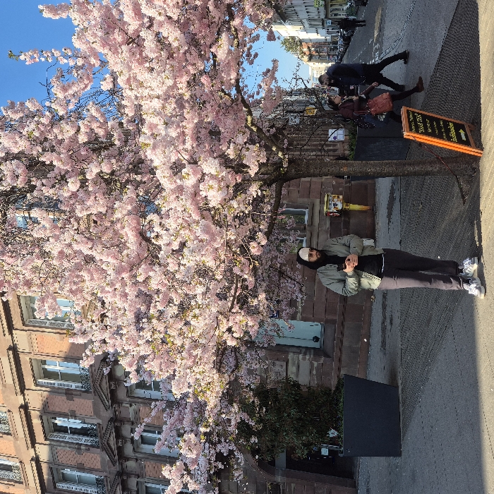 This image captures a bright, sunny street scene in Strasbourg, France. A man with a dark beard, wearing a light-colored beanie, dark sunglasses, a light olive-green jacket over a black hoodie, dark trousers, and white sneakers, stands centrally on a paved sidewalk. He is positioned under a large, profusely blooming pink cherry blossom tree, clasping his hands in front of him. To the right of the tree's trunk, a black sandwich board sign with an orange border and an arrow pointing right leans on the pavement. In the left background, a multi-story building with reddish-brown brick and stone architectural details, including windows with white shutters, is visible. A large dark planter with green foliage stands nearby. Further down the street, two individuals walk away from the viewer. The urban street stretches into the distance, lined with buildings under a clear blue sky, indicating spring conditions.