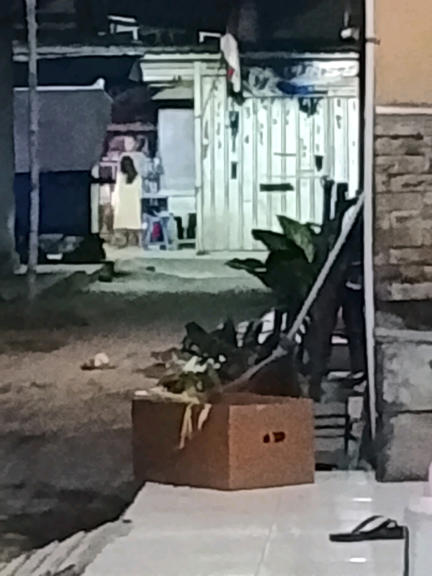The image depicts an outdoor scene in what appears to be a residential or commercial alleyway in Ujungrusi, Indonesia. The lighting suggests it is dusk or nighttime.
In the background, a person wearing a light-colored dress stands near an open doorway or garage with a corrugated metal door. The structure behind them has multiple vertical slats and some debris is visible within. To the left of this structure, a dark-colored vehicle or wall is present, with a vertical pole in front of it.
In the foreground, a cardboard box sits on a tiled surface. To the right of the box, a single black flip-flop is visible on the tiles. The ground in the midground appears to be a rough, uneven surface, possibly dirt or gravel, with scattered debris and shadows. A green leafy plant is partially visible on the right side of the image, near the corrugated door. The overall environment appears somewhat cluttered and utilitarian.
