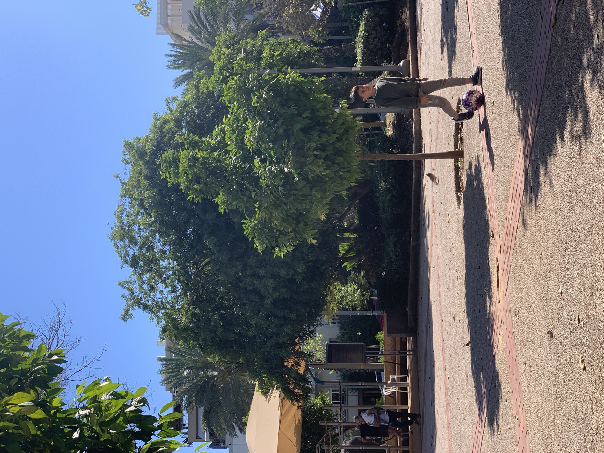 The image captures an outdoor urban scene, likely a public park or square in Tel-Aviv, Israel, under a clear, bright blue sky. The strong, distinct shadows cast by trees and a person indicate a sunny day, likely mid-morning to late afternoon.
The foreground and mid-ground are dominated by a paved pathway made of light-colored gravelly material, bordered by red bricks. This path extends diagonally across the frame. On the right side of this path, a young person, dressed in a dark green long-sleeved shirt and light-colored pants, stands with a vibrant purple and black soccer ball at their feet. They appear to be engaged in or paused during a game, with a small brown bird visible on the path nearby.
The surroundings are lush with green foliage, featuring several large trees providing shade, including distinctive palm trees in the background and on the left side of the frame, typical of the Mediterranean climate. In the background to the left, several individuals are visible sitting or standing under a light-colored awning, suggesting an outdoor cafe or seating area. Buildings with modern architectural styles can be seen beyond the trees, further indicating an urban environment.
The overall atmosphere suggests leisure and outdoor activity on a pleasant, sunny day. No discernible text is visible within the image.