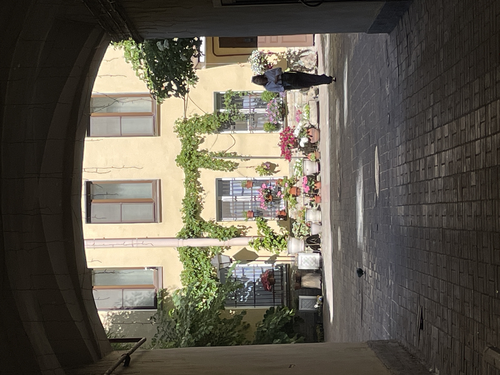 This is a photograph of a courtyard in Saint Petersburg, Russia. The courtyard is paved with bricks and is surrounded by buildings. In the background, there is a yellow building with several windows. Green vines are growing on the building and around the windows. There are many potted plants and flowers in front of the building. A woman in dark pants and a light-colored shirt is walking across the courtyard. A pigeon is standing on the brick pavement in the foreground. The image is taken from within an arched entryway, creating a sense of depth and framing the scene.