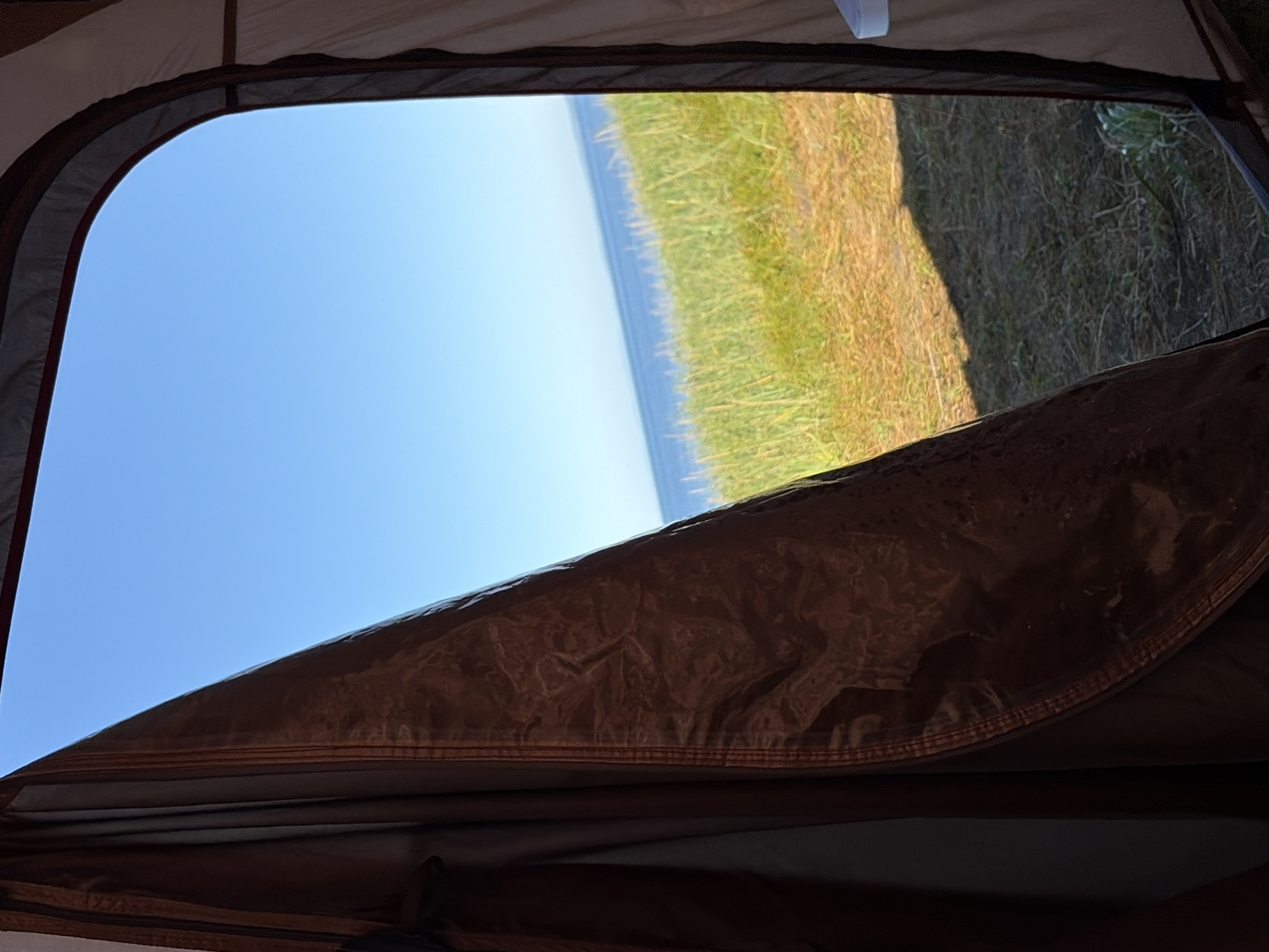 A view from inside a tent looking out towards a body of water. The tent fabric, a deep brown, is partially drawn back on the left side, revealing a clear blue sky and a horizon line where the water meets the sky. In the mid-ground, a strip of tall, green grass is visible, with a slightly darker, dry grassy area in the foreground. The ground appears to be soil and dry vegetation. The scene suggests an outdoor environment, likely a campsite. The location is Ozerskoe, Russia.