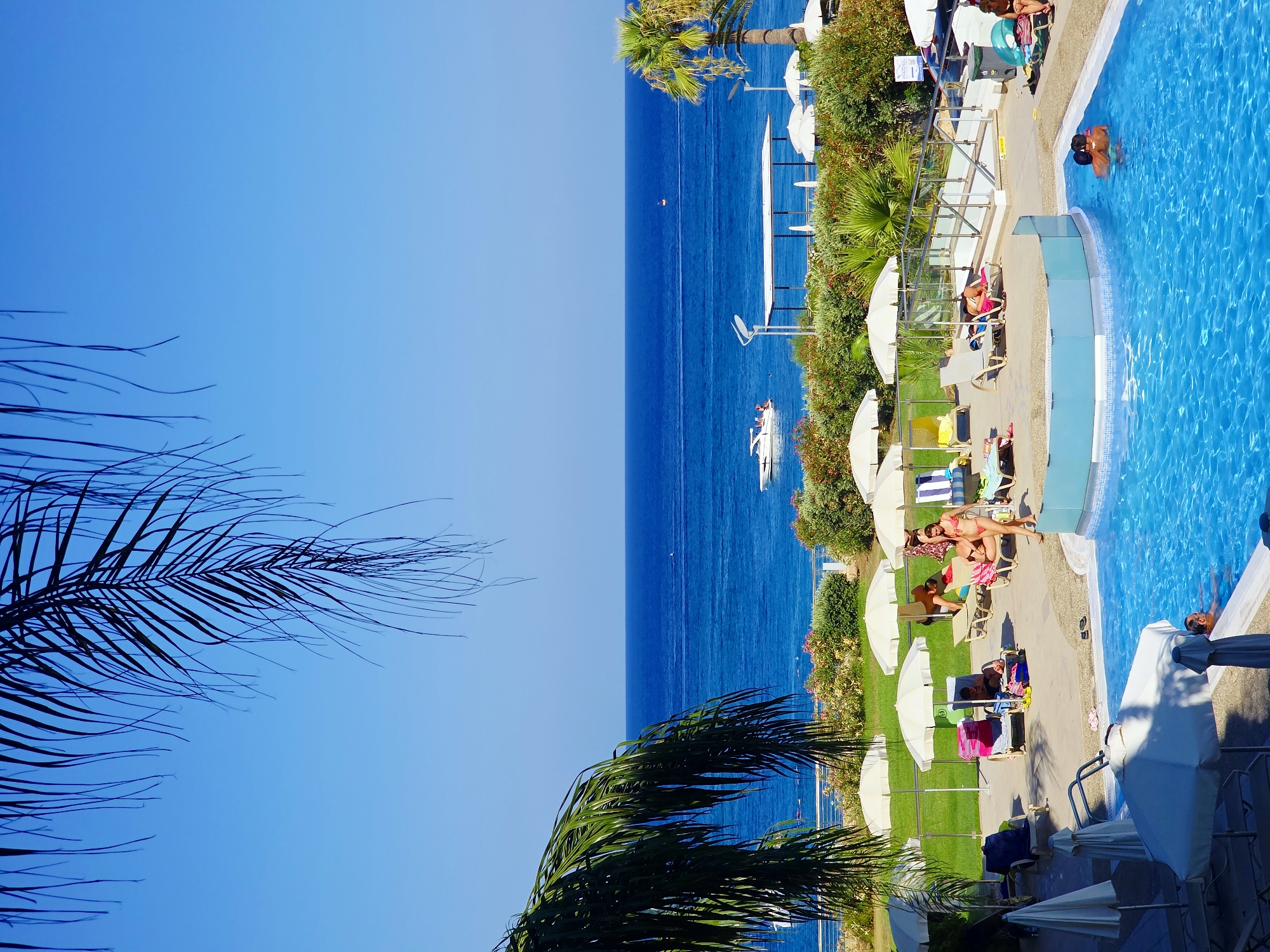 The image depicts a sunny day at a resort in Protaras, Cyprus. The foreground features a bright blue swimming pool with several people relaxing or swimming. A man is partially submerged in the pool, while a couple embraces in the water. Around the pool, lounge chairs are scattered, some occupied by individuals sunbathing. White umbrellas provide shade. Behind the pool area, a well-maintained lawn is visible, dotted with more lounge chairs and umbrellas. Further back, lush green bushes and flowering plants line a walkway. In the background, the deep blue Mediterranean Sea stretches to the horizon under a clear sky. A white boat with people on board is visible on the water, and another smaller boat can be seen further out. Palm trees frame the scene, with a large palm frond obscuring part of the sky in the upper left corner. The overall atmosphere is one of leisure and vacation.
