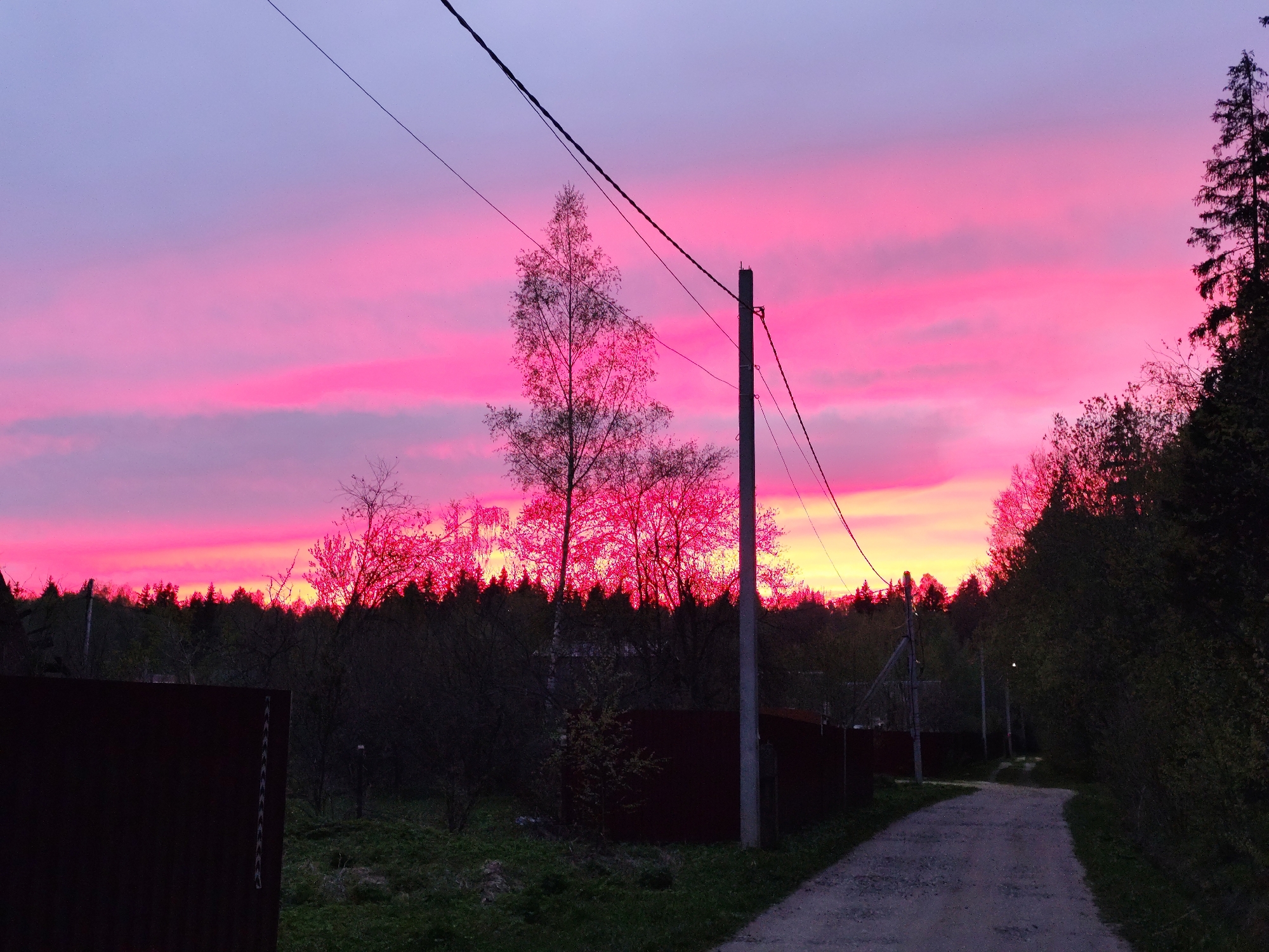 Here is a description of the image:
**Location:** Unknown city, Unknown. The scene appears to be a rural or suburban area.
**Environment:** The sky is the dominant feature, exhibiting a vibrant pink and purple gradient during sunset or sunrise. Below the sky, there's a line of dark trees and vegetation. A gravel road leads into the distance.
**Objects:** A utility pole stands near the center of the frame, with power lines stretched across the sky. A tall, thin tree stands out against the bright sky. Sections of a fence are visible along the road.
**Actions/Interactions:** None explicitly visible in the image. The photograph captures a static scene.