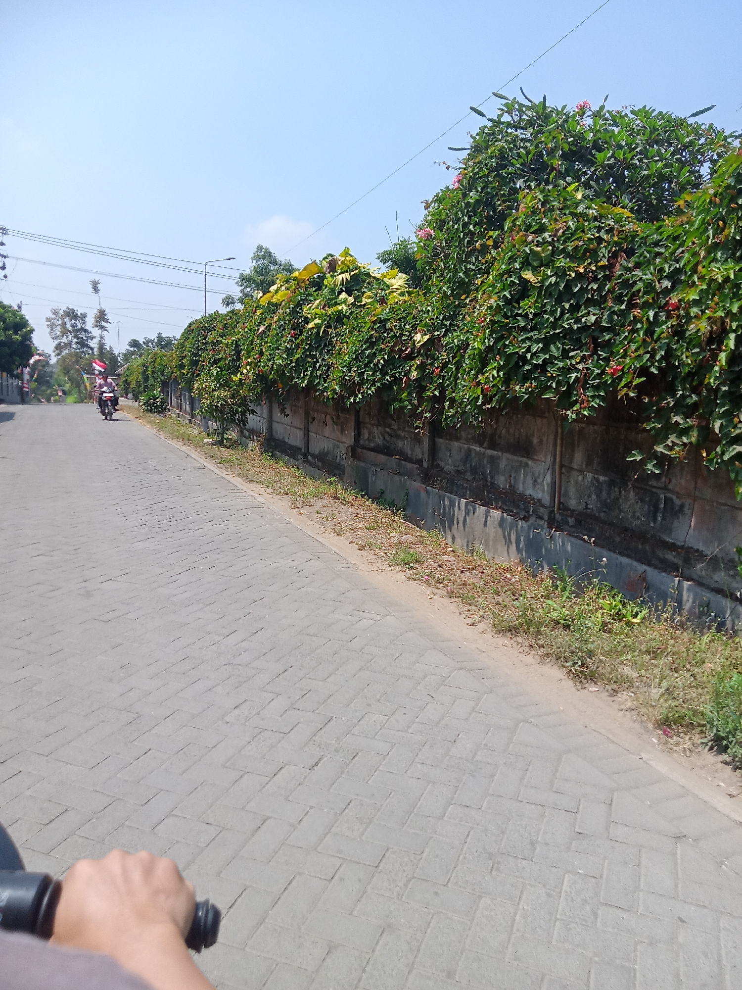 A first-person perspective shot captures a paved road in Ngadirojo, Indonesia. The road is constructed of interlocking gray pavers laid in a herringbone pattern. On the right side of the road, a concrete wall is overgrown with dense green foliage and interspersed with small red flowers. The wall appears weathered and stained in places. A strip of dry grass and some weeds borders the wall. On the left side of the road, the pavement extends further, with a person's hand and handlebar visible in the foreground, suggesting the viewer is on a motorcycle or similar vehicle. Further down the road, a person on a motorcycle, facing away from the camera, is riding towards the viewer. This individual is wearing a red and white outfit. Behind the rider, a thin flagpole with a red and white flag is visible. The sky is a clear, pale blue, with a hint of a cloud on the horizon. Power lines are strung across the upper portion of the frame, supported by utility poles. Trees with varying shades of green foliage are visible in the background.