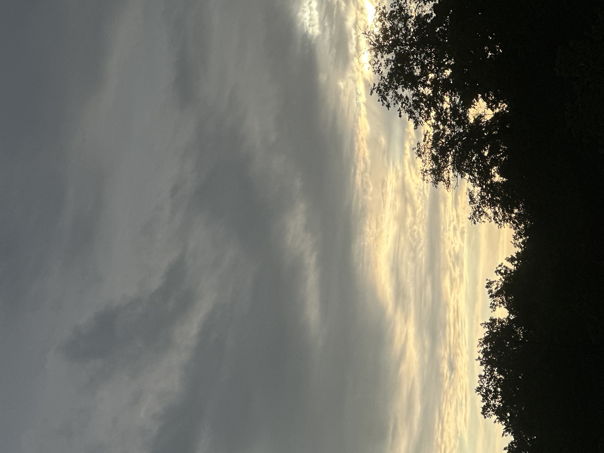 The image shows a sky filled with streaks of grey and white clouds, illuminated by a golden light, likely from the setting sun. A line of trees is silhouetted against the brighter part of the sky. The location cannot be determined from the image alone.