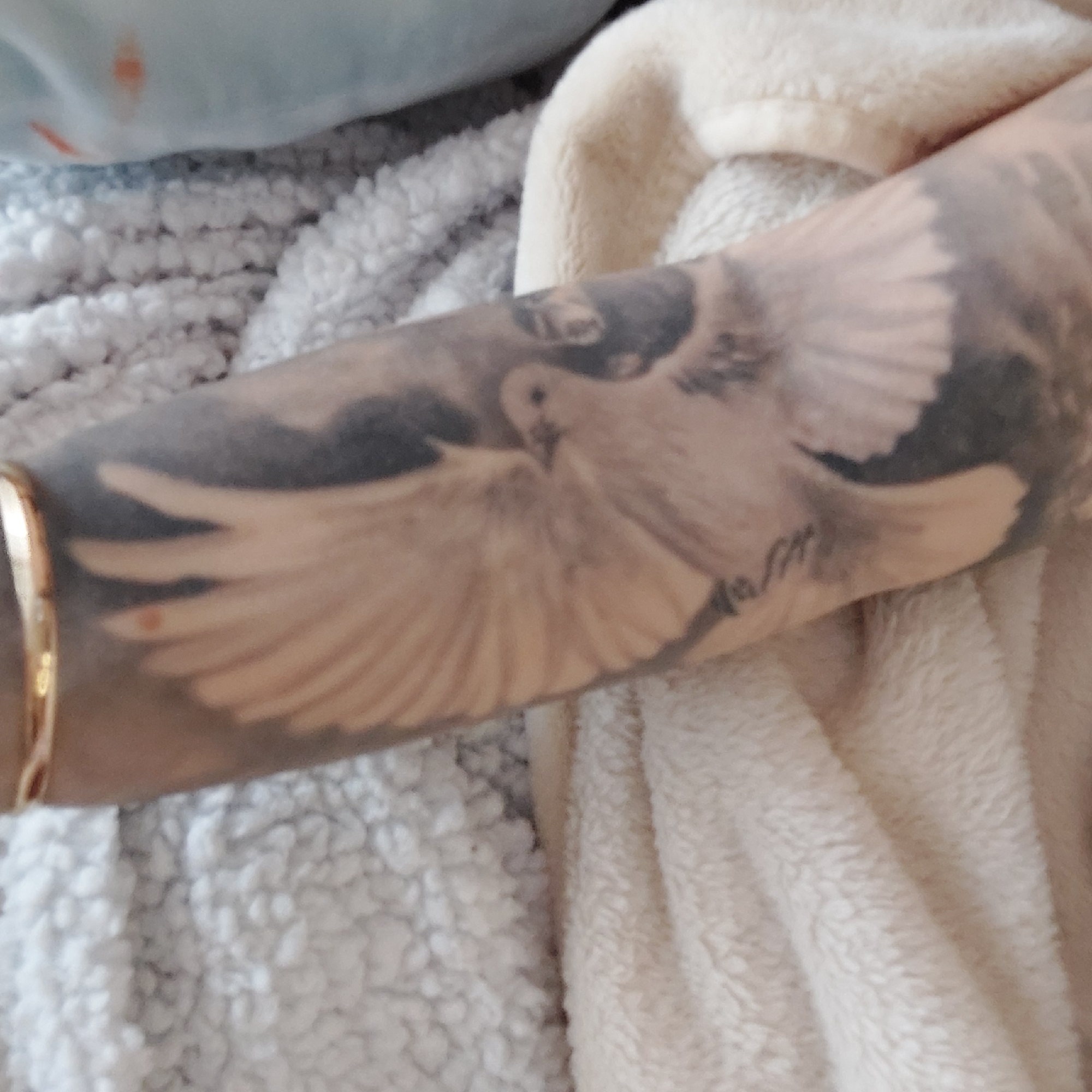 The image shows a person's forearm with a dove tattoo, positioned on what appears to be a bed or couch with two different types of soft, fluffy fabrics. The fabric on the left is a light grey or white, while the fabric on the right is a cream or beige color. A gold bracelet is visible on the wrist. The dove tattoo is highly detailed, showing a bird in flight with outstretched wings. There is no information about the location in the city of Plovdiv, Bulgaria.