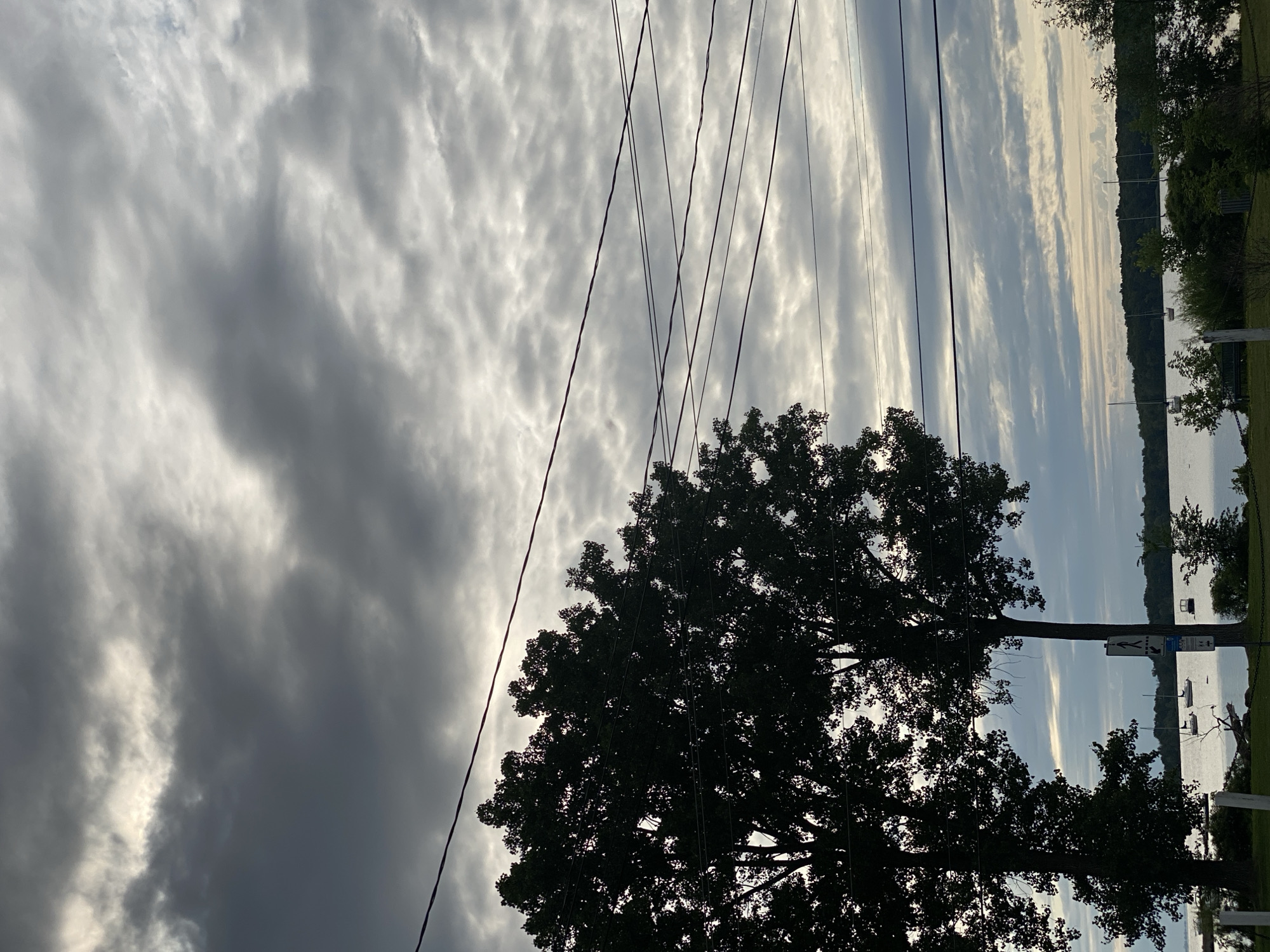 In Baie-D'Urfé, Canada, two large trees with dense foliage are silhouetted against a sky filled with heavy, gray clouds. Multiple power lines stretch horizontally across the frame, intersecting the trees and the cloudy sky. Below the trees, a body of water is visible, with several sailboats anchored or moored. The shoreline is lined with trees and vegetation. A pedestrian crossing sign is positioned near the right side of the frame, adjacent to the body of water and the vegetation. The overall scene suggests a slightly overcast day in a waterside community.