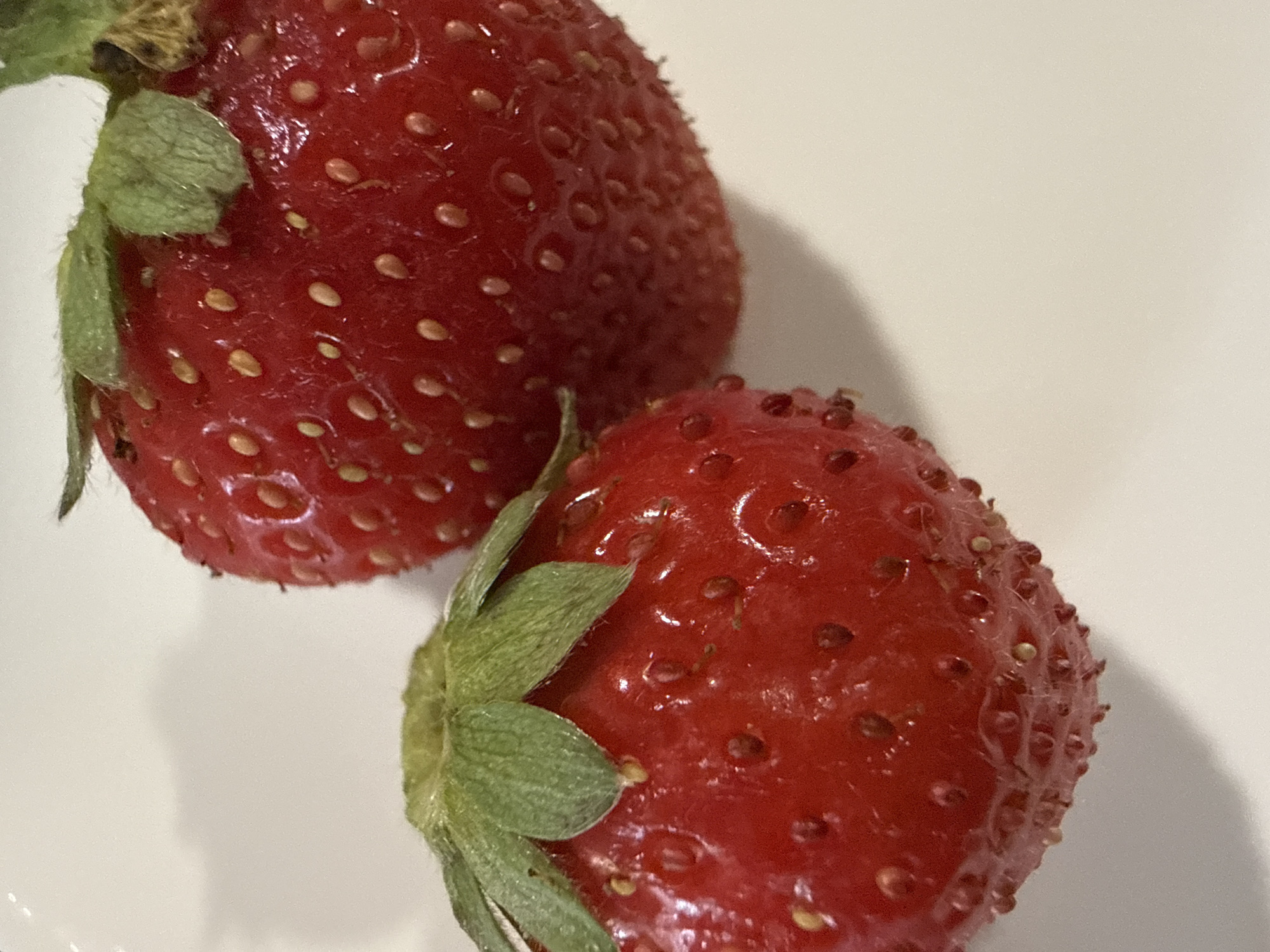 Two ripe strawberries are on a white surface, casting faint shadows. The strawberry on the left is smaller and positioned in the foreground, while the larger strawberry is slightly out of focus in the background to the right. Both strawberries are red and have visible seeds on their surface, with green leafy tops. The image is a close-up shot, likely taken indoors in a domestic setting in Marum, Netherlands.