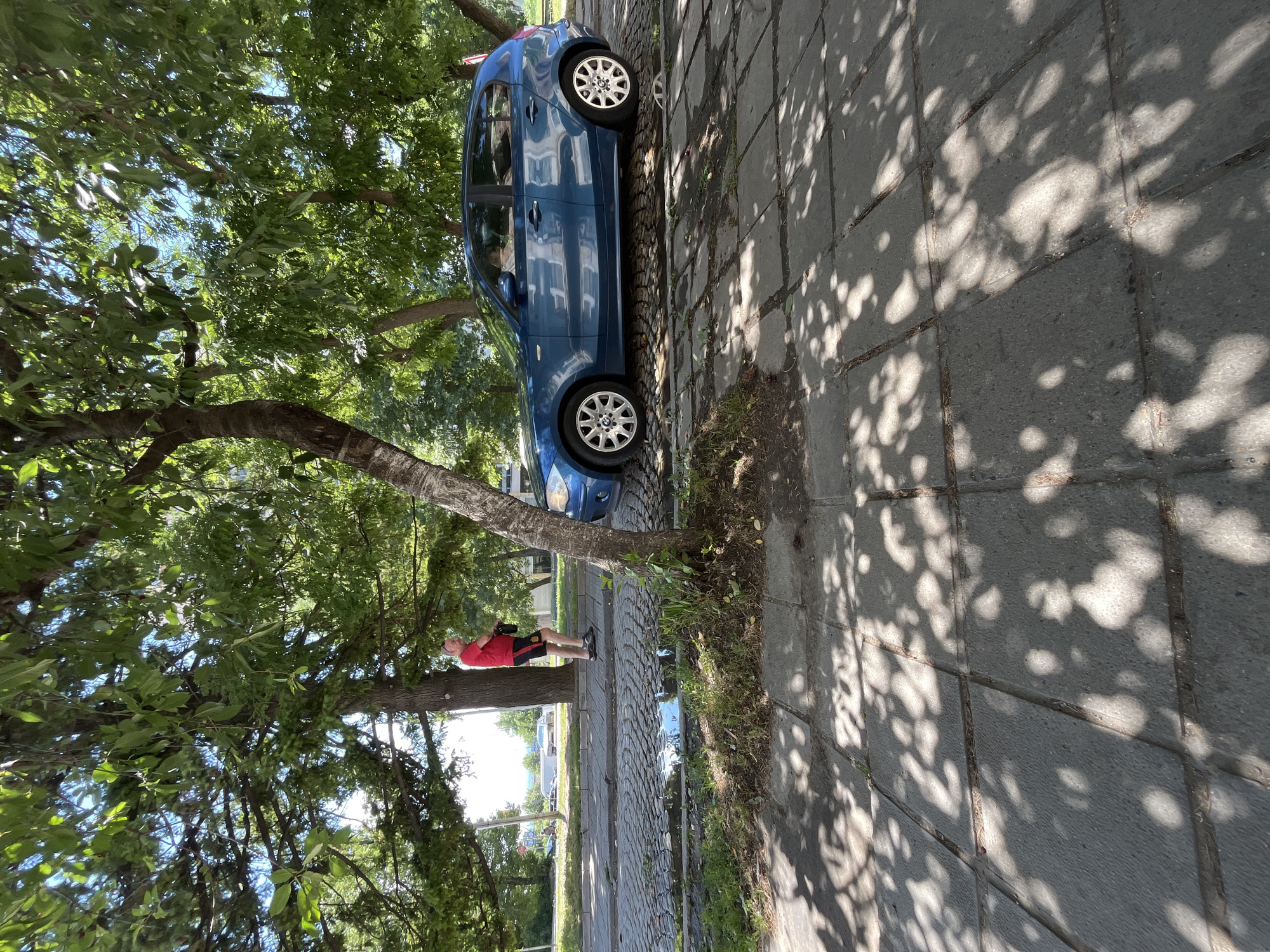 A blue BMW hatchback is parked on a cobblestone area next to a paved sidewalk. A man in a red t-shirt and black shorts stands on the sidewalk, facing away from the camera. Trees with green foliage are overhead, casting dappled shadows on the sidewalk. The scene appears to be a street in the city of Karlovo, Bulgaria, with a visible traffic light and other cars in the background. The weather is sunny, indicated by the bright lighting and shadows.