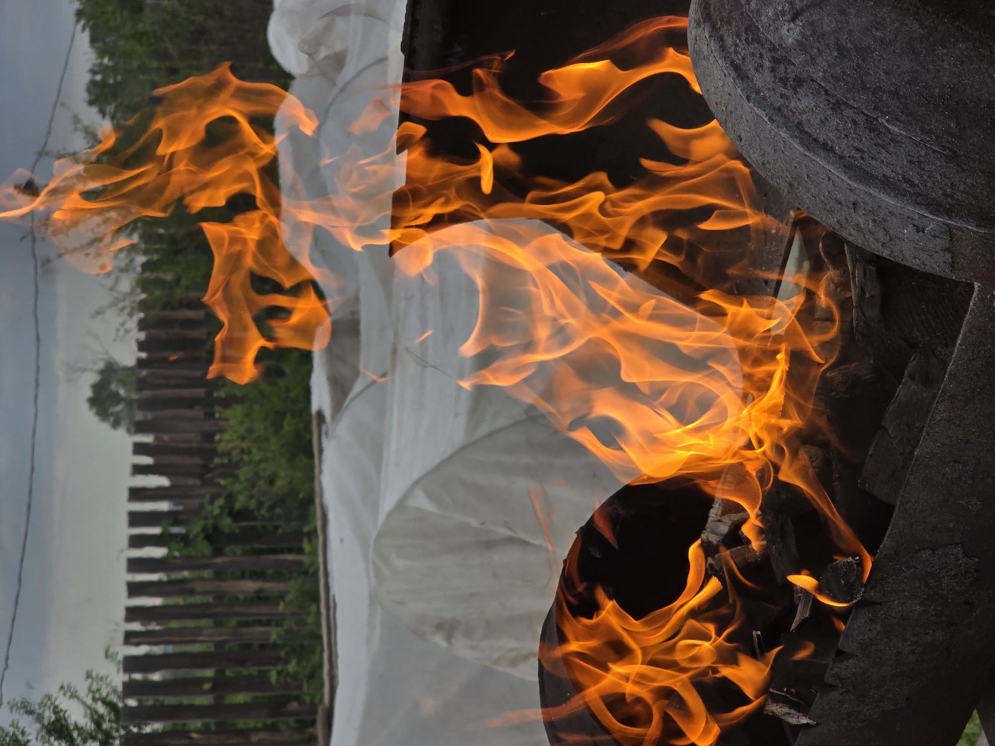 A vertical medium shot captures a backyard scene with a fire burning in a metal grill in the foreground. The fire is a vibrant orange and yellow, with flames licking upwards. Behind the grill, there are white coverings that appear to be protecting plants or garden beds. A wooden fence made of vertical planks is visible in the background, with green foliage and trees beyond it. The sky is overcast and gray. There are no people visible in the image.
