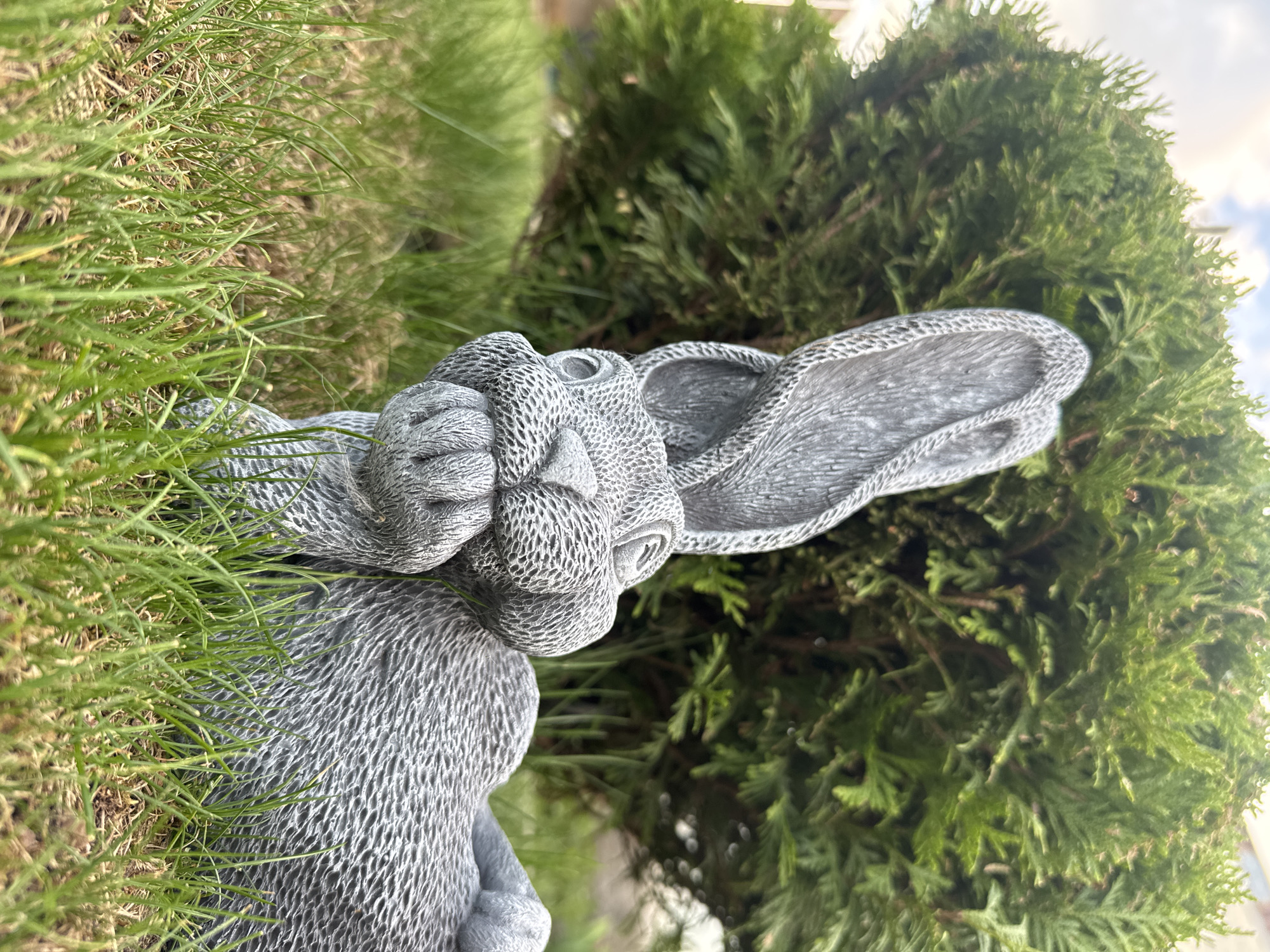 The image shows a gray stone rabbit statue in Прикамский, Russia. The statue is in a grassy area with a round, green bush behind it. The sky is visible in the background. The photo appears to be taken at ground level.