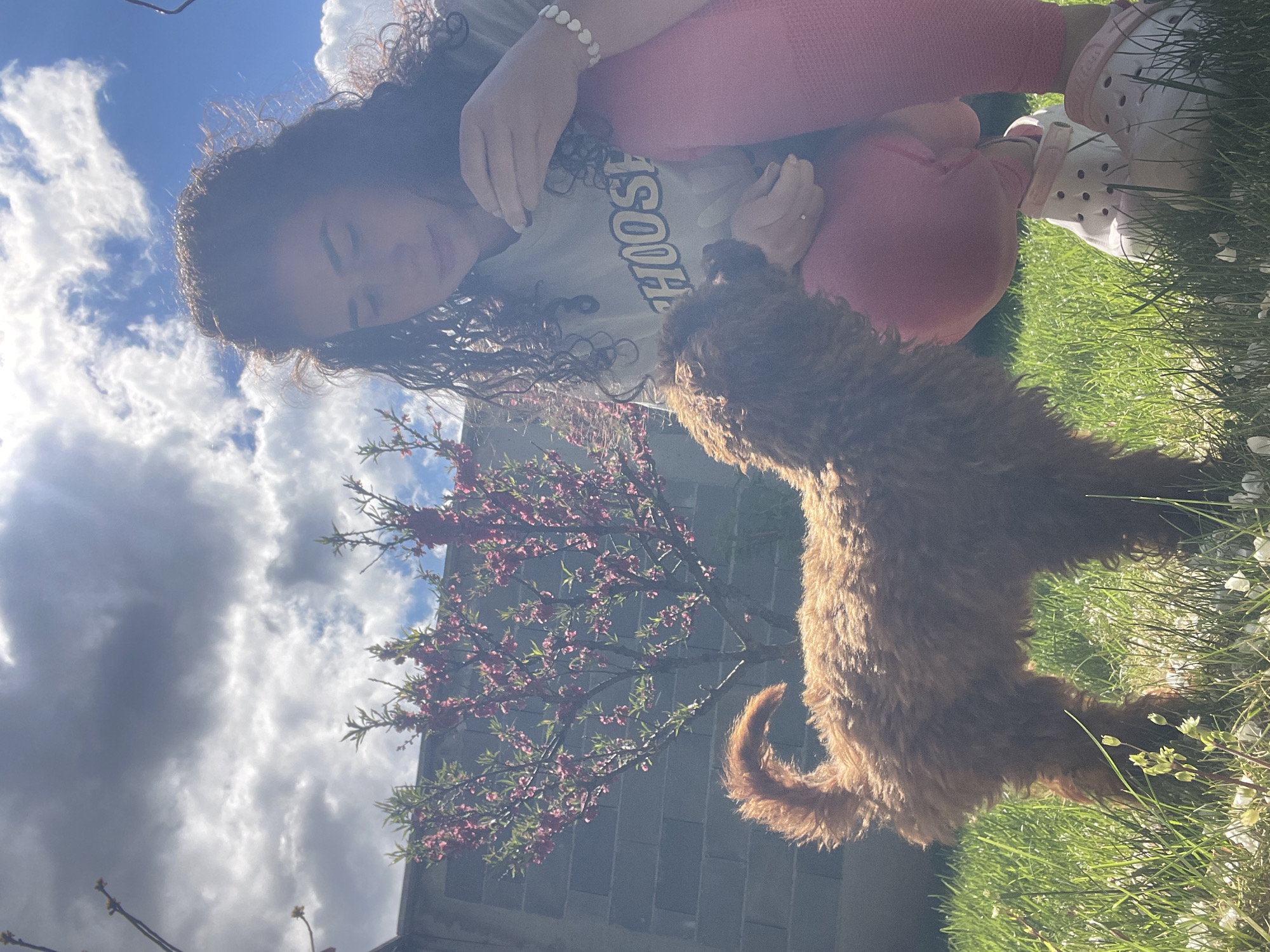 The image, taken in Sofia, Bulgaria, depicts a heartwarming outdoor interaction between a young female and a fluffy, reddish-brown dog on a sunny day. The female, with long, curly dark hair, is seated or kneeling on a vibrant green lawn. She is wearing a light-colored t-shirt that displays the word "CHOOSE," pink leggings, and white Crocs. A white beaded bracelet is visible on her left wrist.
The dog stands on its hind legs, its front paws seemingly resting against the female as it looks up at her face. The female looks down at the dog with a gentle expression, suggesting a moment of affectionate play or tender connection.
The setting is bright and well-lit by natural sunlight, casting soft shadows. The ground is covered in lush green grass, with scattered small white flowers or petals. In the background, a dark-colored building is partially visible, alongside a blossoming tree adorned with numerous small pink flowers. The sky above is a clear blue, dotted with white and grey clouds, indicating a partly cloudy day. The scene conveys a sense of joy and companionship.