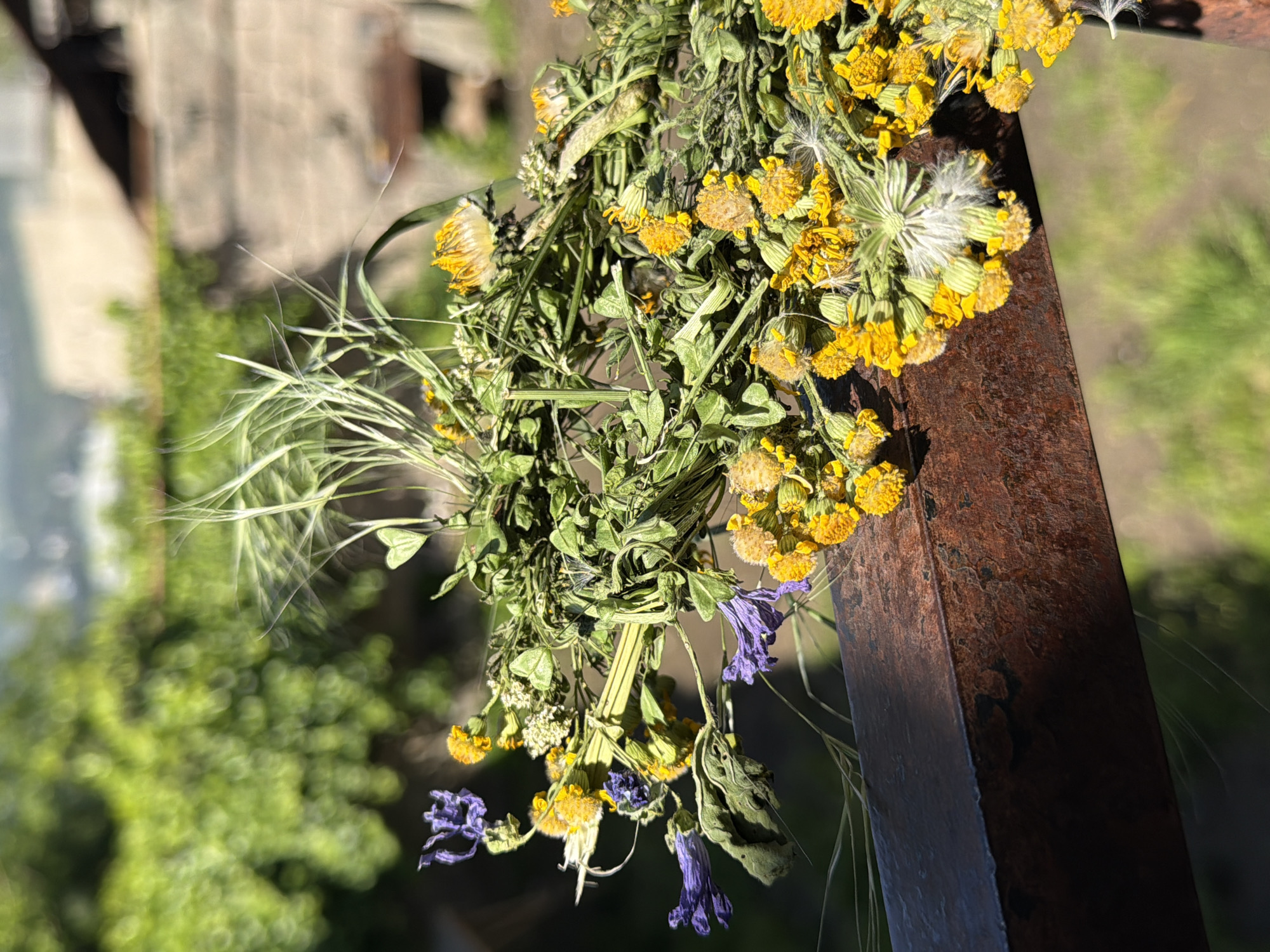 A bouquet of wilting yellow and purple flowers is attached to a rusted metal bar, likely a fence or railing. The background shows blurred greenery, suggesting a natural or park-like setting. The scene is outdoors with strong sunlight casting shadows on the flowers and the metal bar. The overall impression is one of decay and age, with the rusted metal and wilting flowers suggesting time passing. The scene is located in Tbilisi, Georgia.