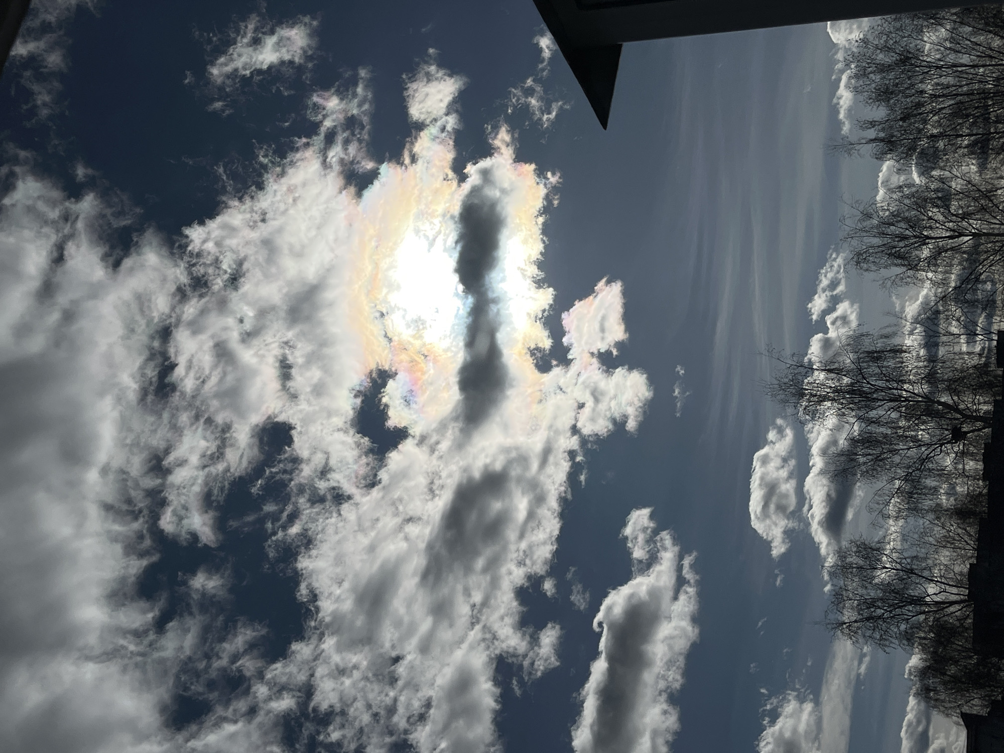 The image shows a sky with clouds, taken outdoors. The sun is obscured by a cluster of clouds, resulting in a halo effect of visible light spectrum colors (likely cloud iridescence). The clouds are predominantly white and gray, with some darker areas. There are tree branches visible on the right side of the image, appearing leafless, suggesting it might be autumn or winter. Part of a building's roof or architectural element is visible in the upper center. The image orientation is rotated 90 degrees counterclockwise. There is no evidence that this photo was taken in the city of Chaikovsky, Russia.