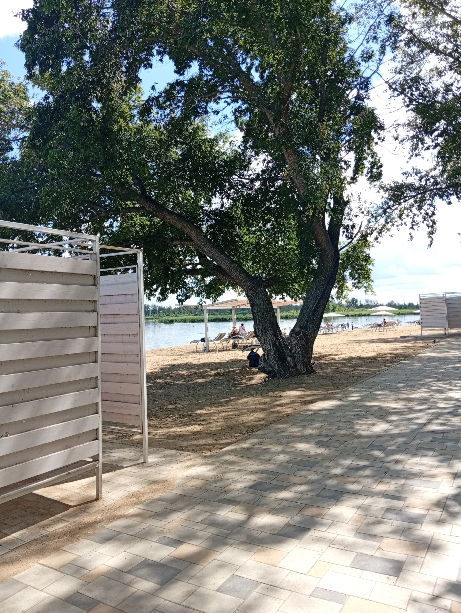 The image depicts a scenic view of a beach area, likely in Мичурин ауылдық округі, Kazakhstan. In the foreground, a pathway paved with interlocking concrete tiles leads into the scene. To the left, a partially constructed changing room structure made of white horizontal wooden slats and a metal frame is visible. Behind this structure, the sandy beach stretches towards a body of water, possibly a lake or river. Several lounge chairs and umbrellas are scattered across the beach, indicating a recreational area. A large, mature tree with dense green foliage stands prominently near the center of the image, casting shadows on the sand. In the distance, across the water, a tree line and a few structures can be observed. The sky is partly cloudy, suggesting a bright, sunny day. A few individuals are visible on the beach, some seated on the lounge chairs, while others appear to be standing or walking. A small bird is perched on the paved area in the foreground. The overall atmosphere is one of a tranquil summer day at a popular beach destination.