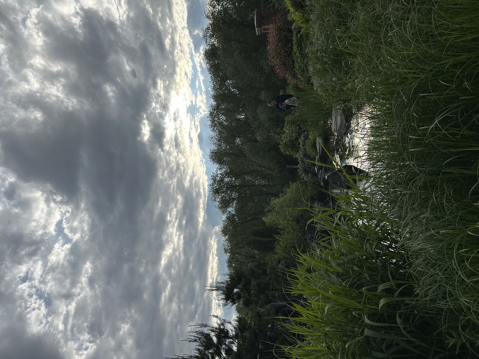 This image captures a serene outdoor landscape, likely a park or natural area, under a dramatic sky. The scene, when viewed upright, features a wide expanse of sky, lush greenery, and a body of water.
The upper portion of the image is dominated by a dynamic sky filled with large, grey clouds. Patches of sunlight pierce through the clouds, creating bright highlights and lending a sense of either late afternoon or early morning light.
Below the sky, a dense line of trees forms the mid-ground, showcasing a variety of green foliage, including both deciduous and coniferous trees. Nestled among these trees, near the water's edge on the right side of the frame, a single person is visible. They are crouched or bent over, wearing dark attire, and appear to be focused on an activity near the water.
The lower section of the image features a body of water, possibly a river or pond, which reflects the bright sky, creating shimmering streaks of light on its surface. The banks of this water body are heavily overgrown with tall, vibrant green grass and reeds, particularly dense in the foreground, which almost obscures the water in places. Several rocks are also visible in and around the water.
The overall impression is one of natural beauty and tranquility, with a strong visual contrast between the bright, cloud-filled sky and the rich, shadowed greens of the vegetation. There is no visible text in the image. The location context for this scene is Yekaterinburg, Russia.