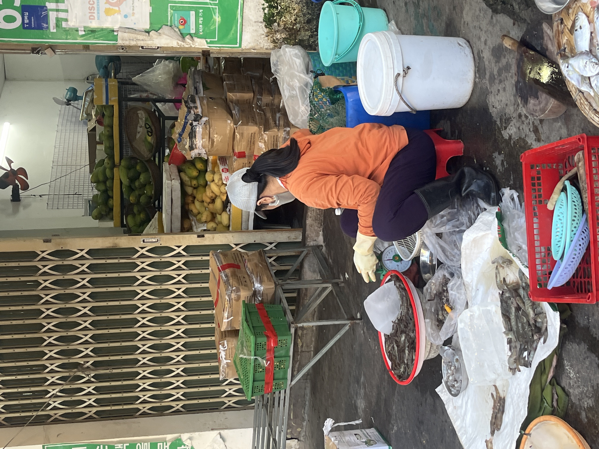 This is a photograph taken from a slightly elevated perspective, looking down at a street market scene in Nha Trang, Vietnam. In the foreground, a person wearing an orange long-sleeved shirt, dark purple pants, and black rubber boots is seated on a small red stool. They are wearing yellow gloves and a light gray baseball cap, with their back mostly to the camera. The person appears to be weighing shrimp on a green scale, which is placed on a large white cloth spread on the ground. Several bowls and plastic bags containing shrimp are also on the cloth. To the right of the person, there are two large white buckets and a turquoise bucket. In the mid-ground, there is a metal table with green plastic crates and cardboard boxes stacked on it. Behind the table, a shop stall is visible, filled with a large quantity of green mangoes displayed in baskets and on shelves. Further to the right, there is a stall with green signage and what appear to be advertisements or product labels. The ground is wet and appears to be a paved street. The overall atmosphere suggests a busy market environment.