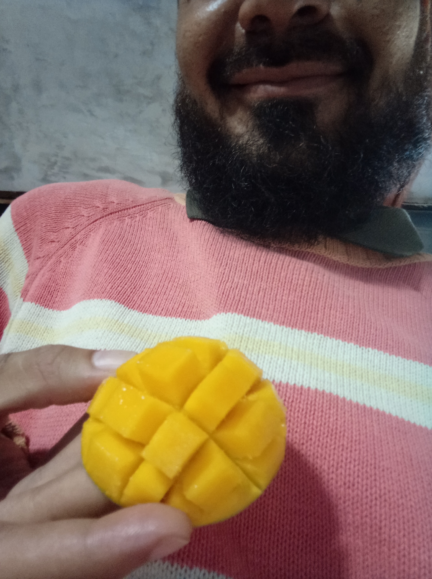 The image shows a close-up, chest-level perspective of a person holding a prepared mango. The individual, likely male, is partially visible from the nose down, featuring a dark, full beard and a subtle smile or contented expression. They are wearing a knitted sweater with distinct horizontal stripes in pink, white, and a light yellowish-beige hue. Beneath the sweater, the collar of a dark green or similarly dark-colored polo shirt is visible.
The central focus is a ripe, yellow mango, expertly scored into a cube pattern, with the vibrant flesh exposed. The mango is held in the person's hand, positioned prominently in the lower-center of the frame. The background consists of a plain, textured wall, appearing grey or light blue-grey, suggesting an indoor setting. There are no additional details in the background that provide specific location cues or time of day. No text is visible within the image. The overall scene conveys a simple moment of holding or presenting fresh fruit.
Location context provided: Guarenas, Venezuela.