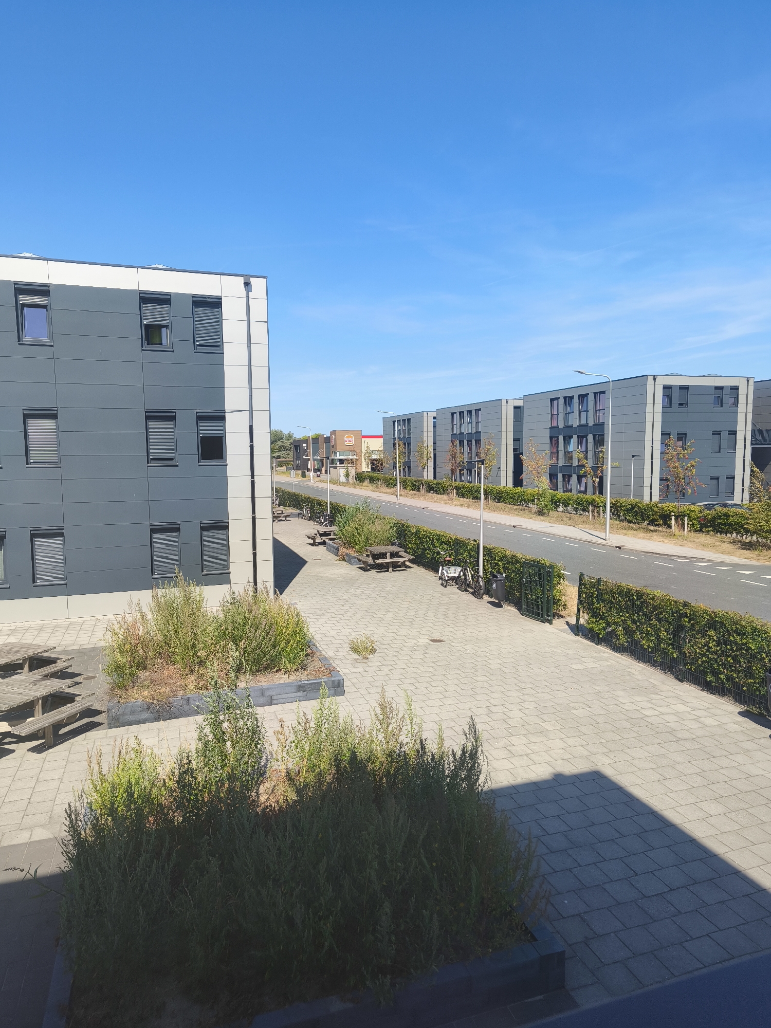 The image depicts a contemporary urban street scene in Honselersdijk, Netherlands, under a clear blue sky. On the left, a multi-story building with a gray facade and white trim features numerous windows, some with closed blinds. Adjacent to this building is a paved walkway with several wooden picnic tables and planters containing dry grass and green bushes. A road runs horizontally across the image, bordered by a well-maintained green hedge. Across the road, a row of identical modern buildings with gray facades and multiple windows are visible, some reflecting the sky. A street lamp stands prominently near the center. In the middle ground, a Burger King restaurant with its distinctive orange and red signage is visible in the distance, along with other commercial buildings. A bicycle and a trash can are positioned on the paved area near the road. The scene suggests a quiet, well-ordered residential or commercial area.