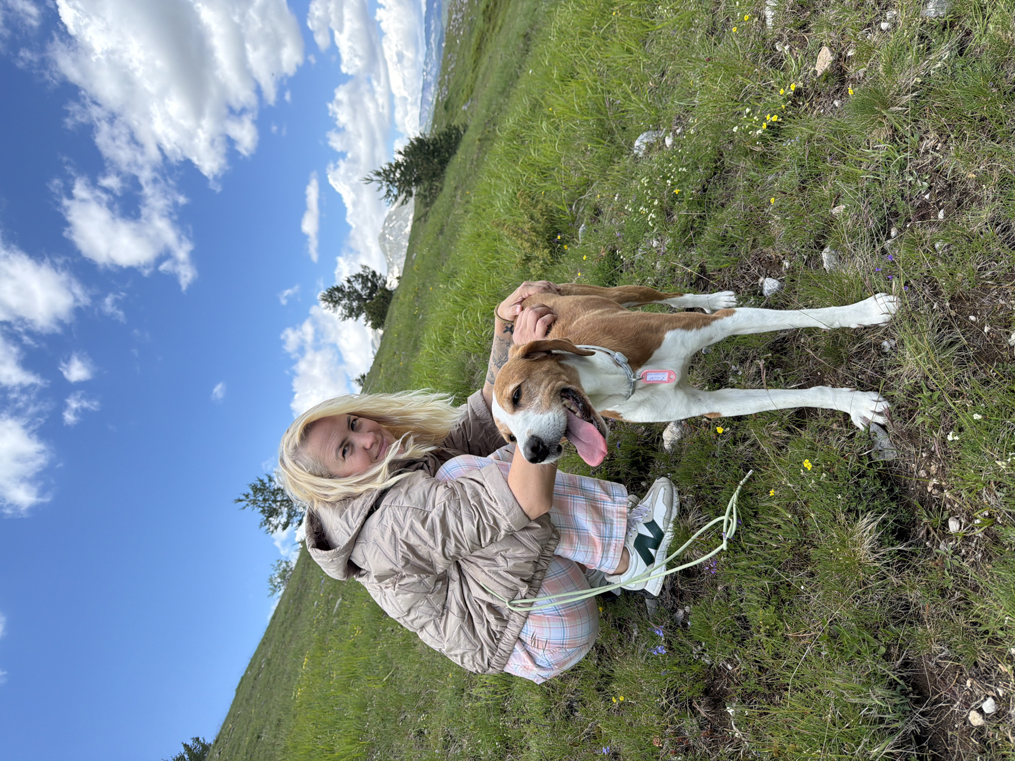 An outdoor scene in Novakovići, Montenegro, depicts a woman and a dog on a grassy hillside under a partially cloudy blue sky. A blonde woman, positioned in a crouch on the left side of the frame, faces forward with a slight smile, looking directly at the viewer. She is wearing a light brown quilted hooded jacket, pink and white plaid pants, and white New Balance sneakers with green accents. Her left hand is resting on the back of a medium-sized dog positioned in front of her. The dog, predominantly brown and white with floppy ears, stands with its tongue slightly extended, looking towards the left foreground. It wears a light-colored collar with a pink identification tag. The terrain consists of a steep green grassy slope with scattered small yellow and purple wildflowers, as well as visible rocks and patches of bare soil. In the background, several evergreen trees are sparsely distributed on the hillside, beyond which snow-capped mountains are visible under a bright blue sky with numerous white cumulus clouds. A light green cord, possibly a leash, is coiled on the ground near the woman's left foot.
