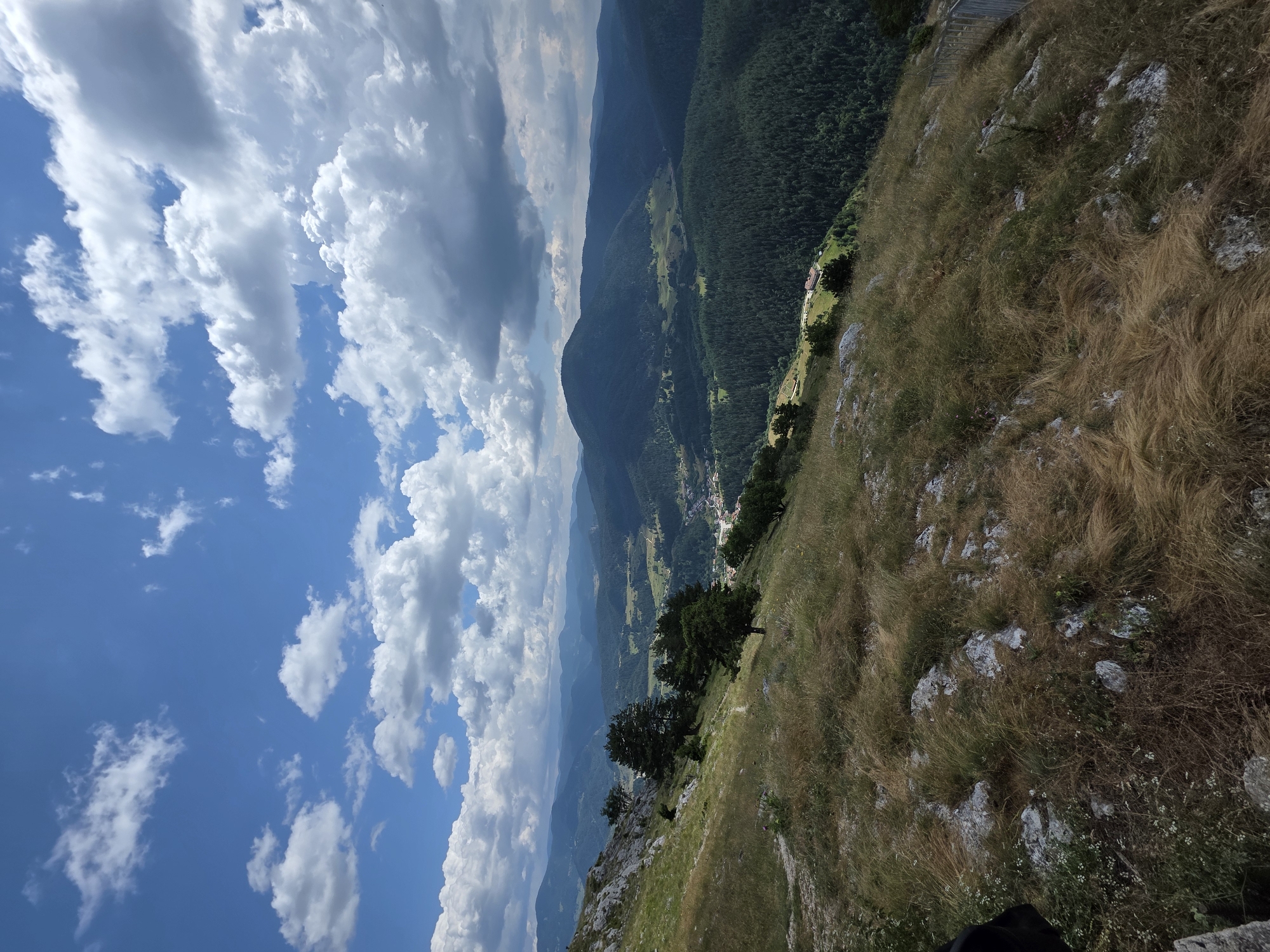 This is a vertical, medium-shot, outdoor photograph taken from a high vantage point overlooking a valley. The foreground is dominated by a grassy, rocky hillside that slopes downward and to the right. The grass is dry and golden, with scattered rocks and some small white wildflowers. A few scattered trees with dark green foliage are present on the hillside.
In the midground, the valley opens up, revealing a village nestled among rolling hills. Buildings with red-tiled roofs are visible in the village. Beyond the village, the landscape transitions to dense, dark green coniferous forests that cover the slopes of the surrounding mountains. The mountains extend into the background, with successive ranges fading into a hazy blue.
The sky above is a vibrant blue, filled with numerous white, puffy cumulus clouds. Some of the clouds are quite large and cast shadows on the landscape below, indicating varying light conditions.
The scene is a panoramic view of a mountainous region, likely the Rhodope Mountains, in or near the village of Iagodina, Bulgaria. The time of day appears to be midday or early afternoon, given the bright sunlight and cloud formations. There are no people or animals visible in the image. The overall impression is one of natural beauty and a tranquil, rural setting.