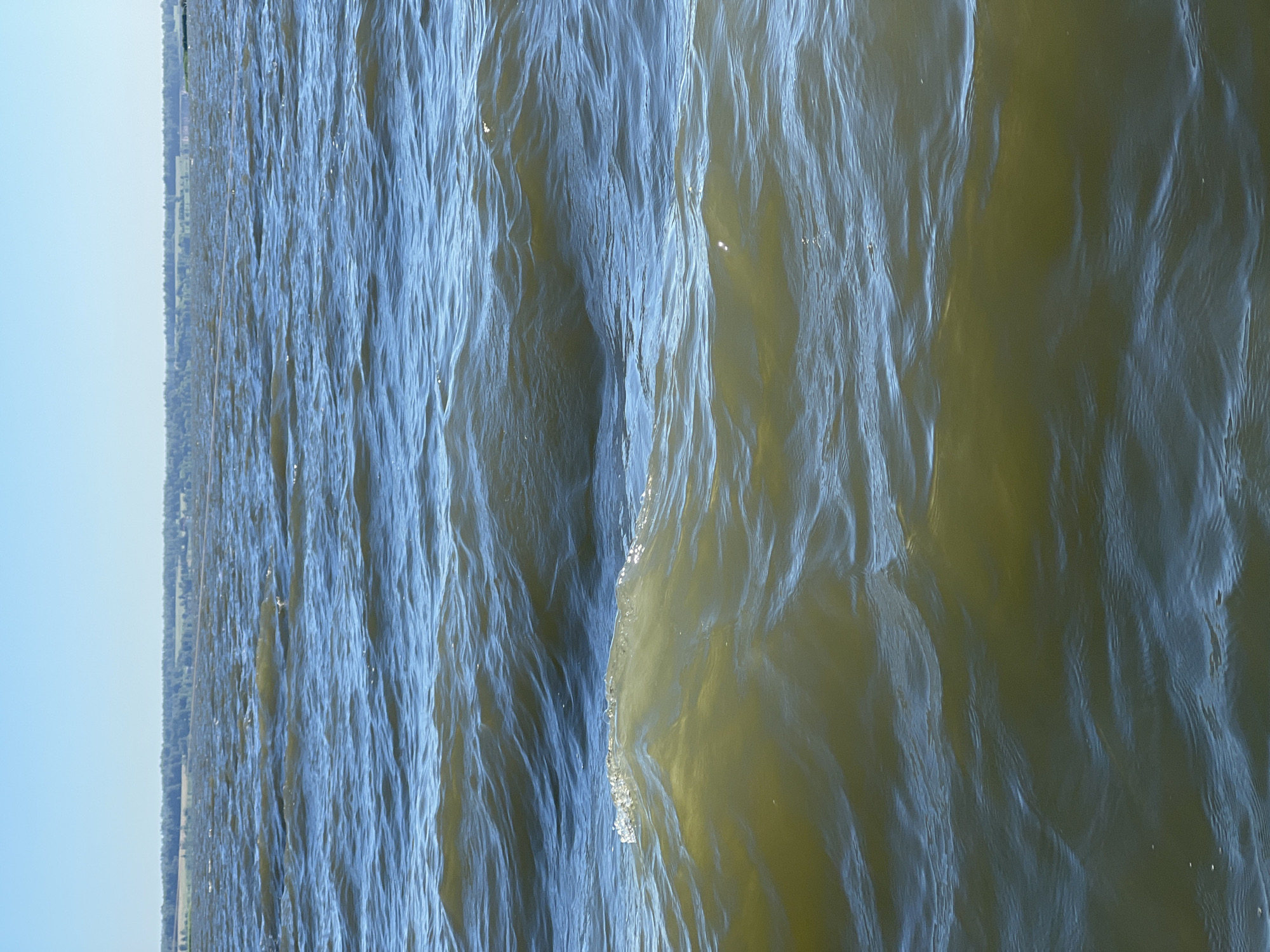 A wide, shallow body of water, likely a lake or large pond, dominates the frame under a clear blue sky. The water is choppy, with small waves rolling across its surface, reflecting the sunlight and casting ripples. In the distance, a thin strip of trees lines the far bank, with hints of fields and perhaps some buildings peeking through the foliage. The overall impression is one of a serene, natural landscape, possibly in or near Novopichugovo, Russia, given its geographical context. There are no people or specific man-made objects visible in the immediate foreground, drawing the viewer's attention to the movement and color of the water itself.