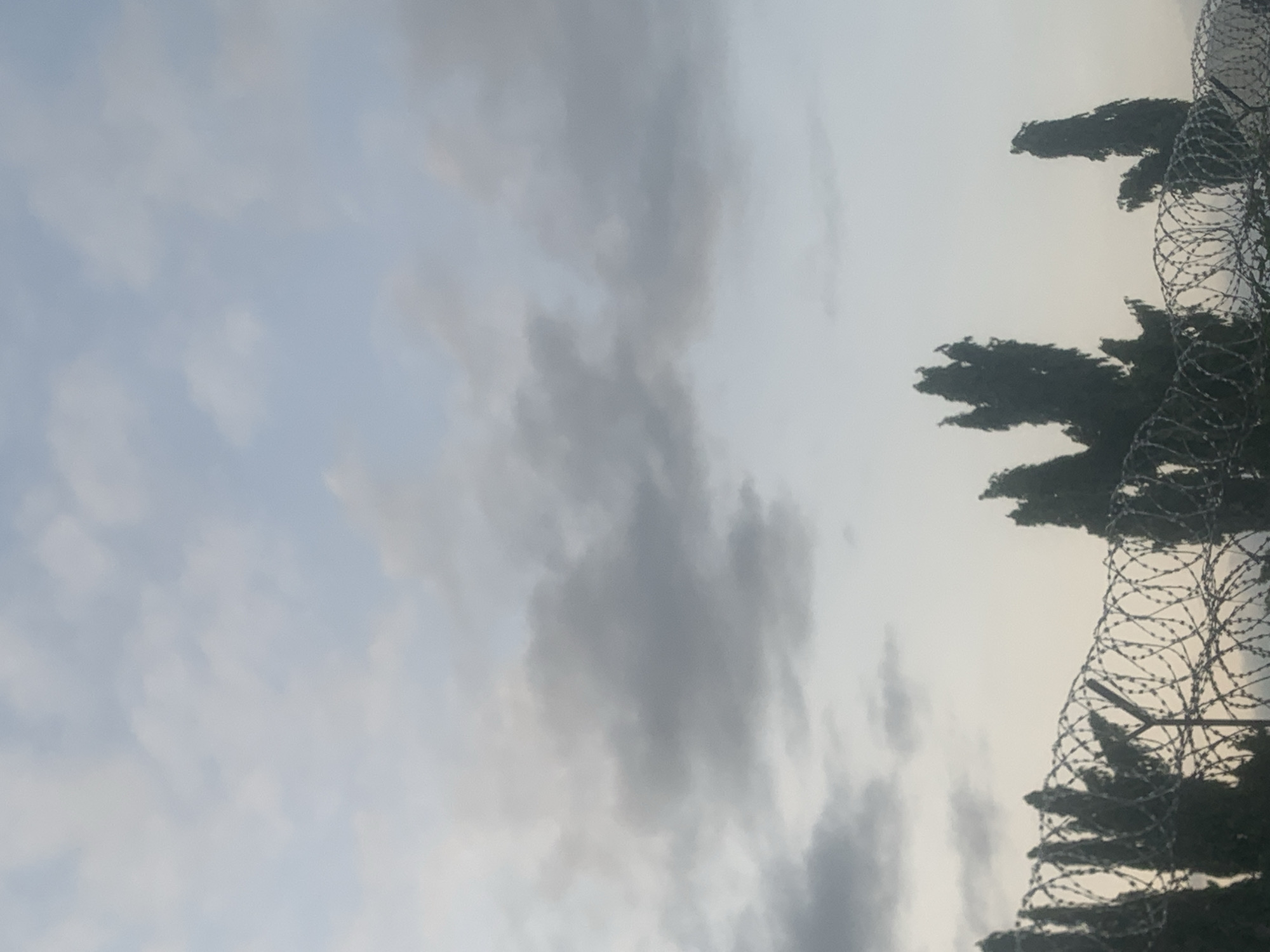 The image depicts a serene sky with scattered clouds above a line of silhouetted cypress trees and barbed wire fencing. The barbed wire, characterized by its spiral construction, extends across the foreground, creating a barrier. The cypress trees, tall and slender, are positioned behind the fence, their dark forms contrasting with the pale sky. The overall impression is one of a tranquil, possibly early morning or late evening scene, with the harshness of the barbed wire juxtaposed against the natural beauty of the trees and sky. This scene is situated in Jalingo, Nigeria.